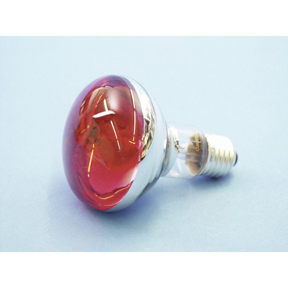 EUROLITE LED-Leuchtmittel Eurolite 9210360U Glühlampe E27 Reflektor 60 W Rot 1 St.
