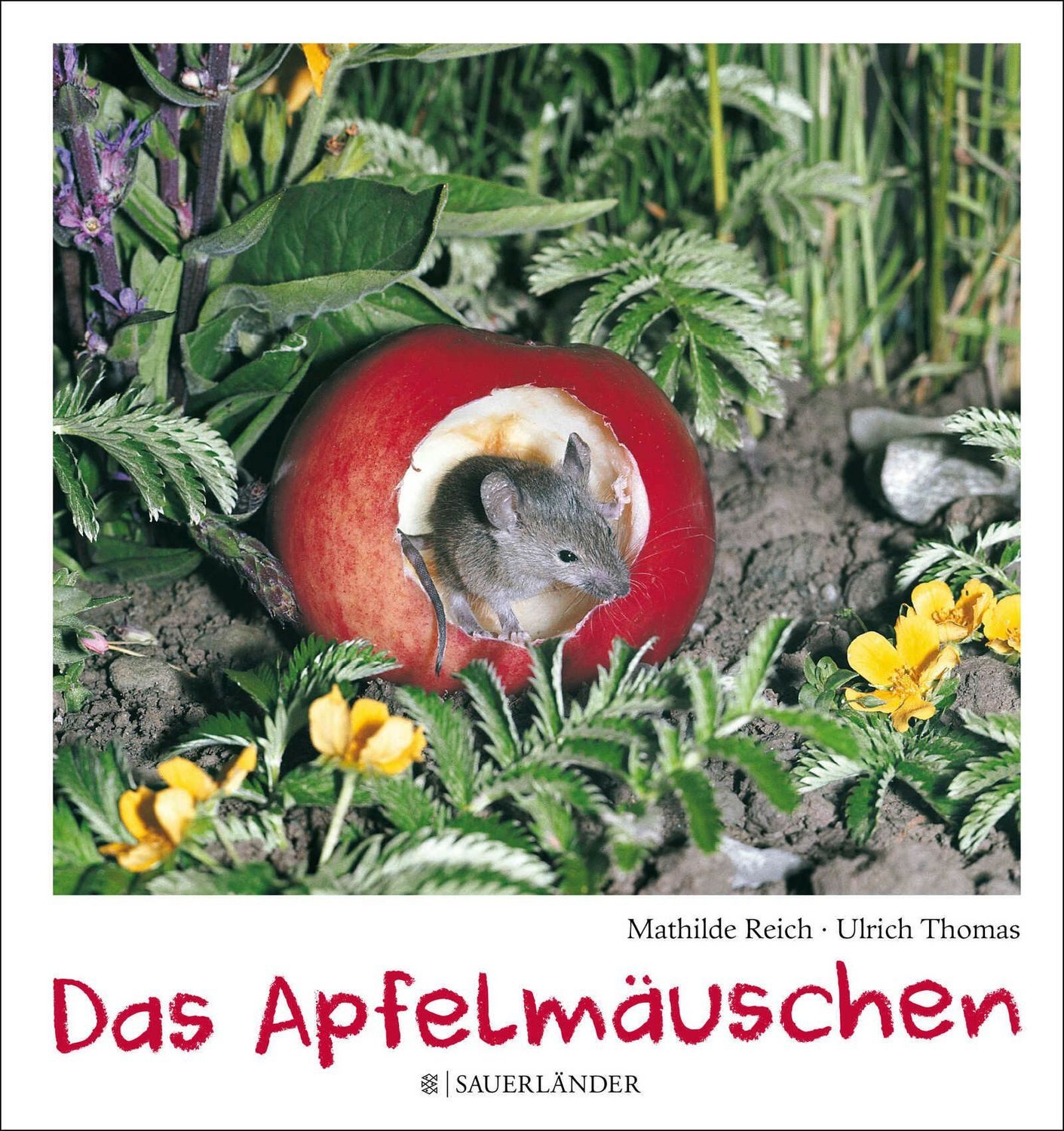 Das Apfelmäuschen / Mathilde Reich, Ulrich Thomas