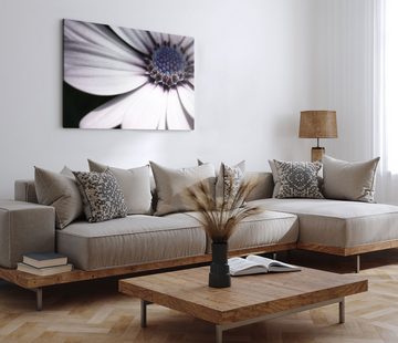 Sinus Art Leinwandbild 120x80cm Wandbild auf Leinwand Nahaufnahme weiße Blüte Blume schwarzer, (1 St)
