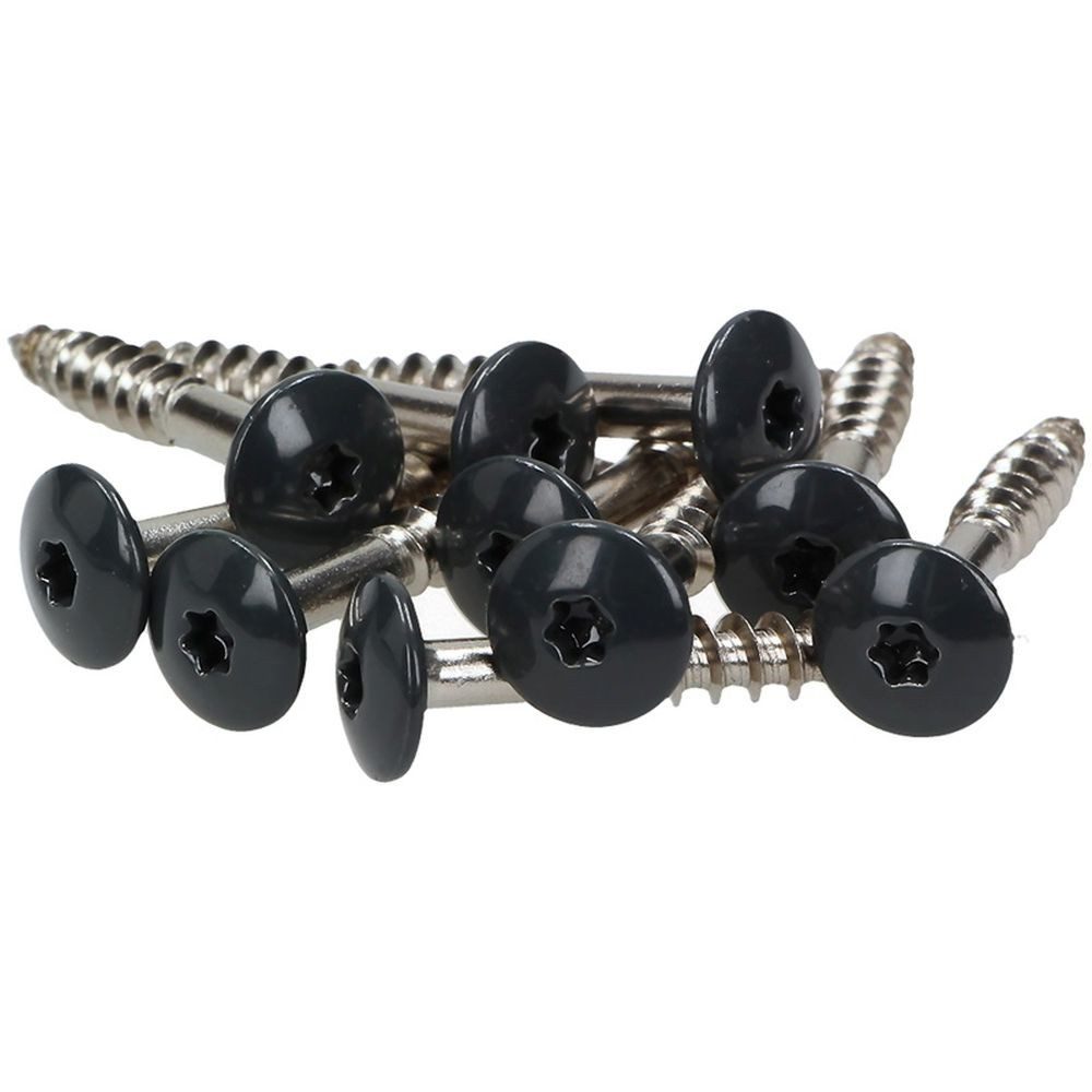 Meisterling® Fassadenschraube INOX, (V4A - 4,8 x 20 mm, Flachkopf Torx T20, 100 Stk), Weiss