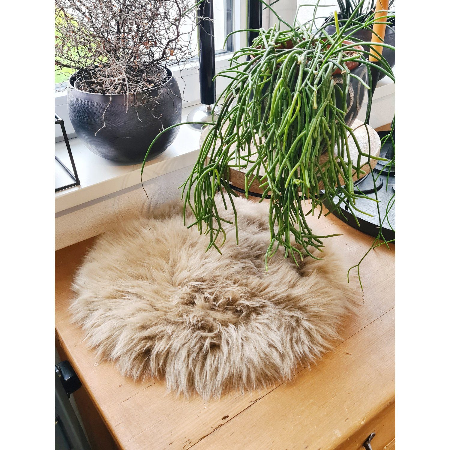 Macosa Home Fellteppich Dekofell rund 34 cm echtes Lammfell Stuhlkissen Sit günstig online kaufen