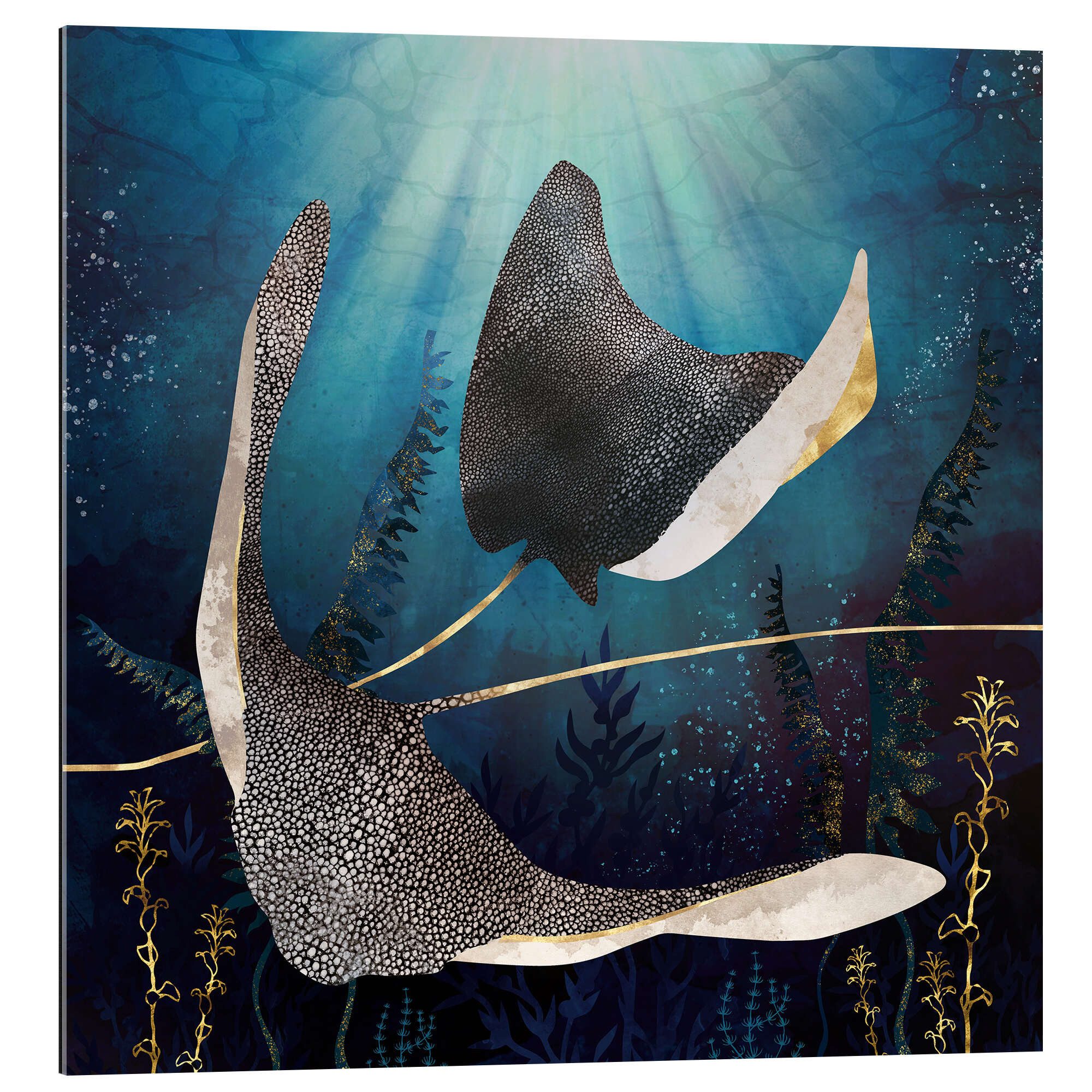 Posterlounge Wandbild Stachelrochen, SpaceFrog Designs, erhältlich als Poster, Leinwandbild, Wandsticker oder Acrylglasbild