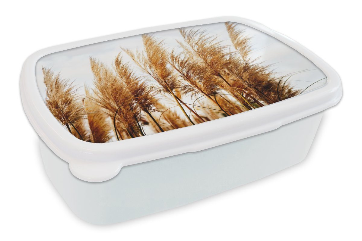 MuchoWow Lunchbox Pampasgras - Sonne - Gras, Kunststoff, (2-tlg), Brotbox für Kinder und Erwachsene, Brotdose, für Jungs und Mädchen weiß