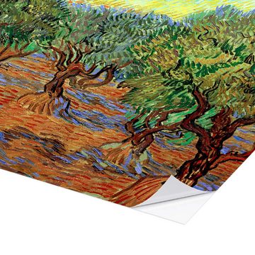 Posterlounge Wandfolie Vincent van Gogh, Olivenhain II, Wohnzimmer Mediterran Malerei