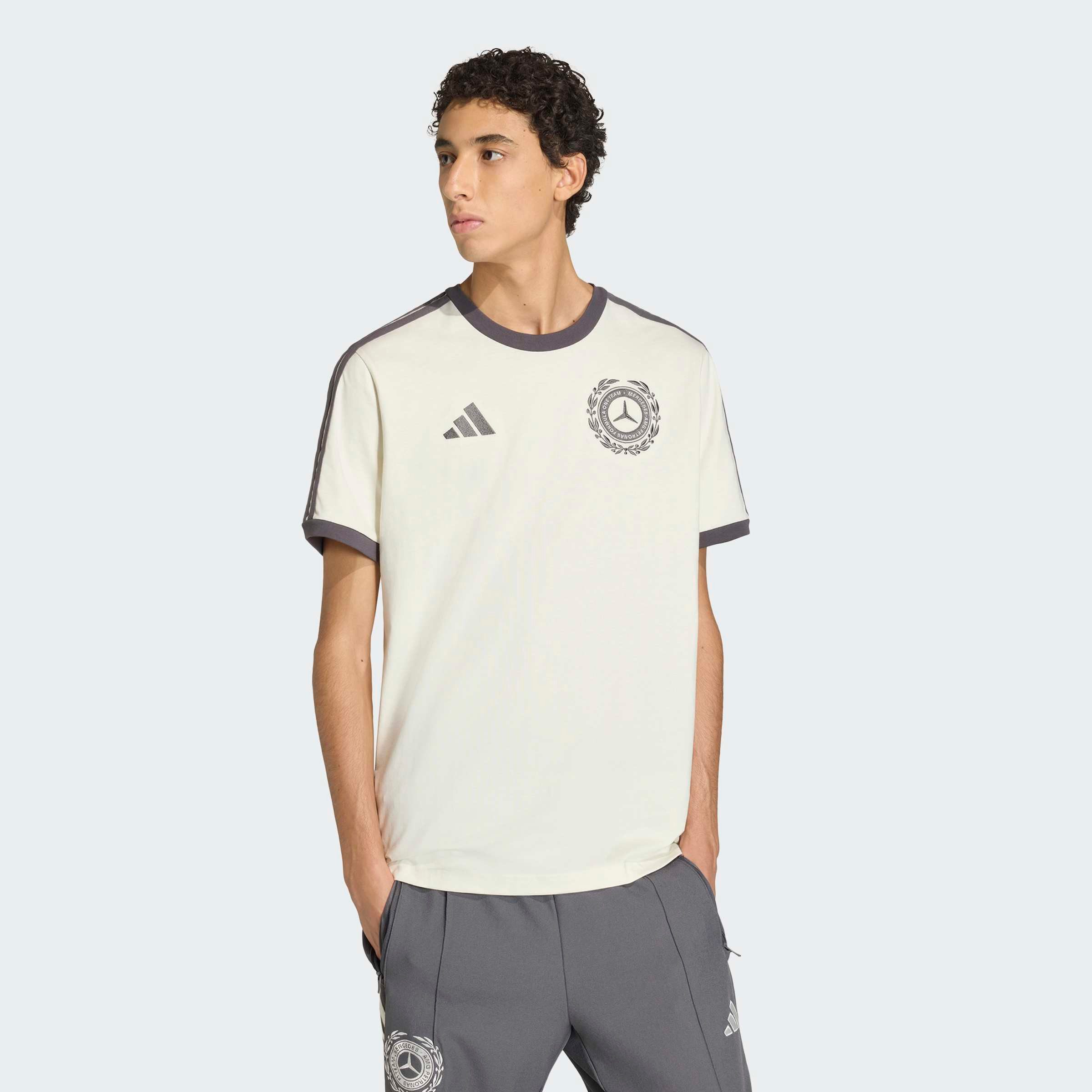 adidas Performance T-Shirt MERCEDES - AMG PETRONAS FORMULA 1 TEAM SILVER AR günstig online kaufen
