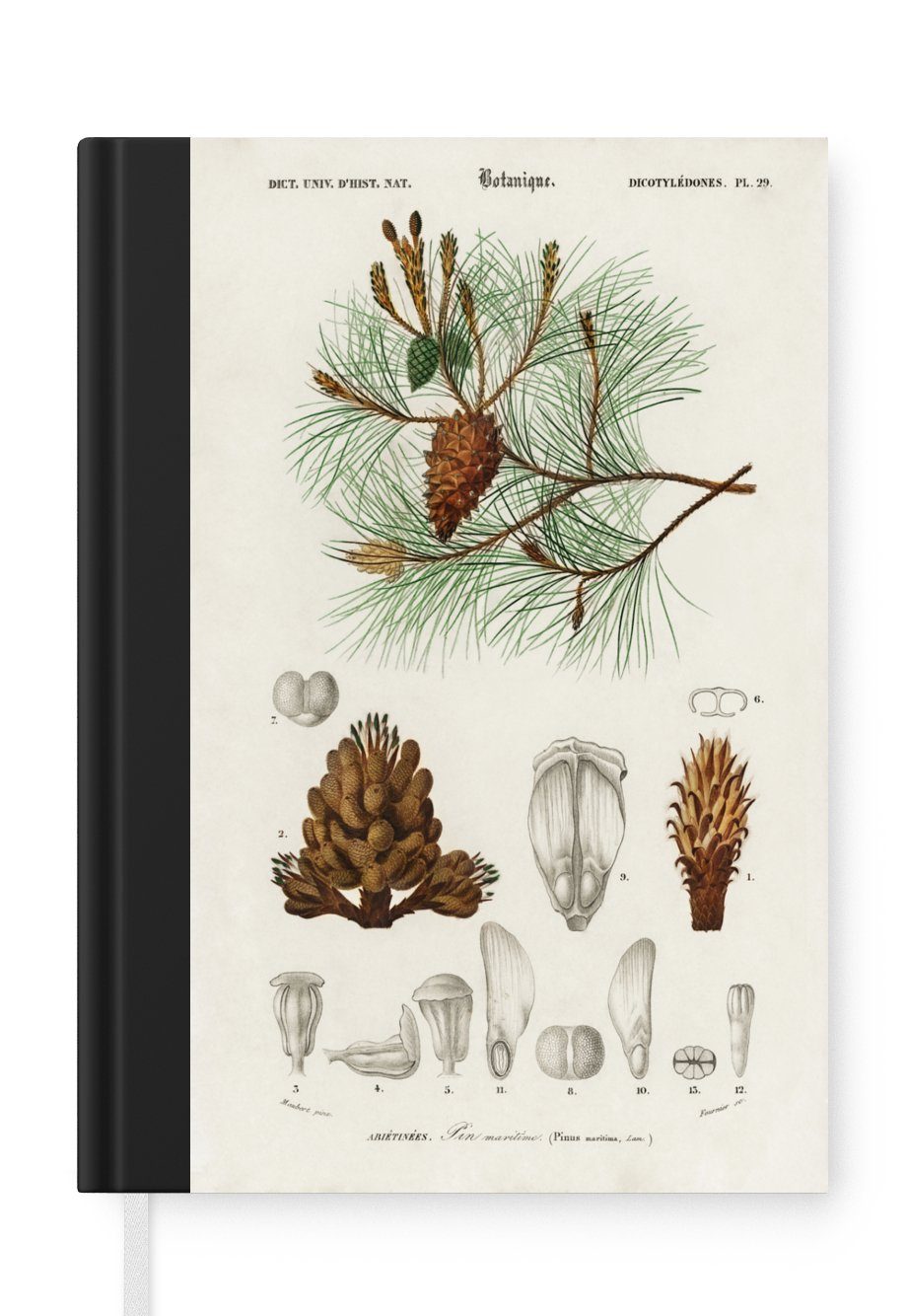 MuchoWow Notizbuch Baum - Vintage - Saatgut, Journal, Merkzettel, Tagebuch, Notizheft, A5, 98 Seiten, Haushaltsbuch