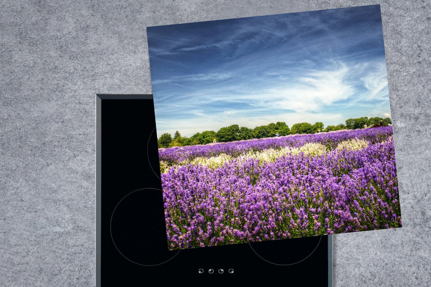 in der (1 Blauer tlg), Natur, Himmel küche Vinyl, Lavendel cm, MuchoWow für Ceranfeldabdeckung, Arbeitsplatte Herdblende-/Abdeckplatte 78x78 über