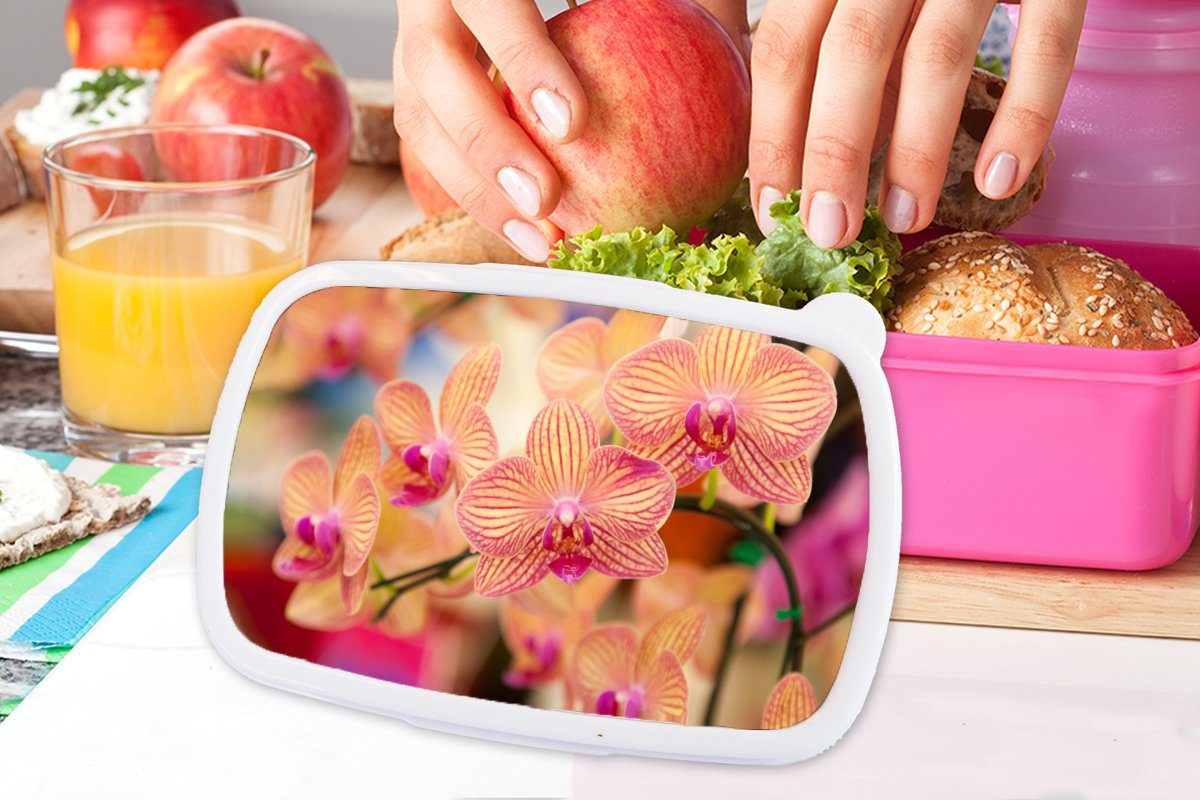 Lunchbox für Erwachsene, Pflanze Rosa - Blumen Kunststoff MuchoWow Brotdose (2-tlg), - - Kunststoff, Kinder, Flora, Orchidee Mädchen, - Brotbox Snackbox,