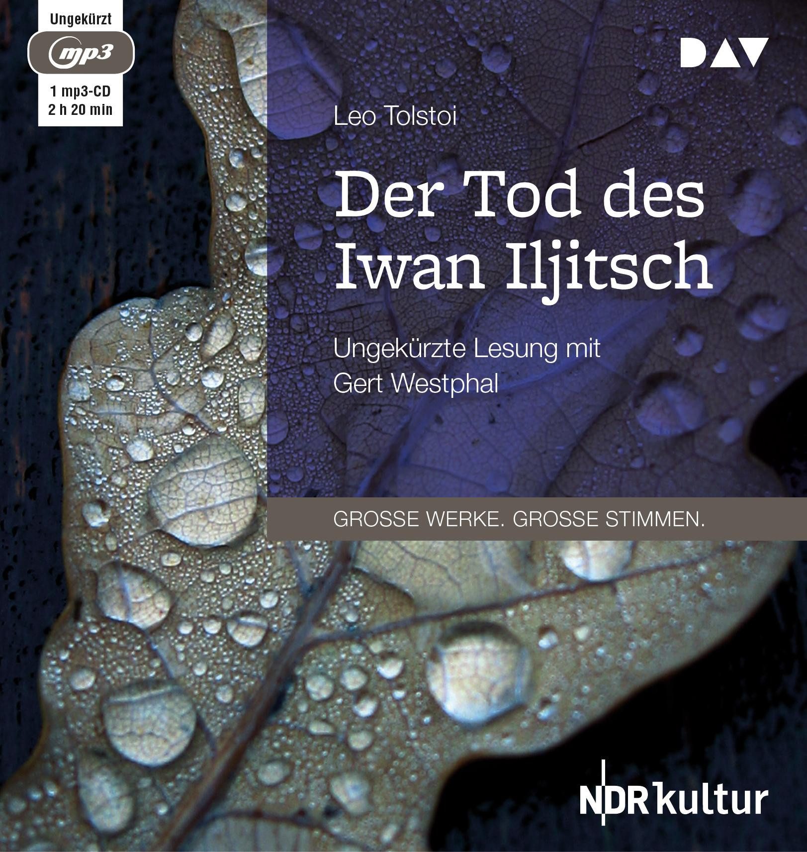 Der Audio Verlag Hörspiel-CD Der Tod des Iwan Iljitsch, 1 Audio-CD, 1 MP3