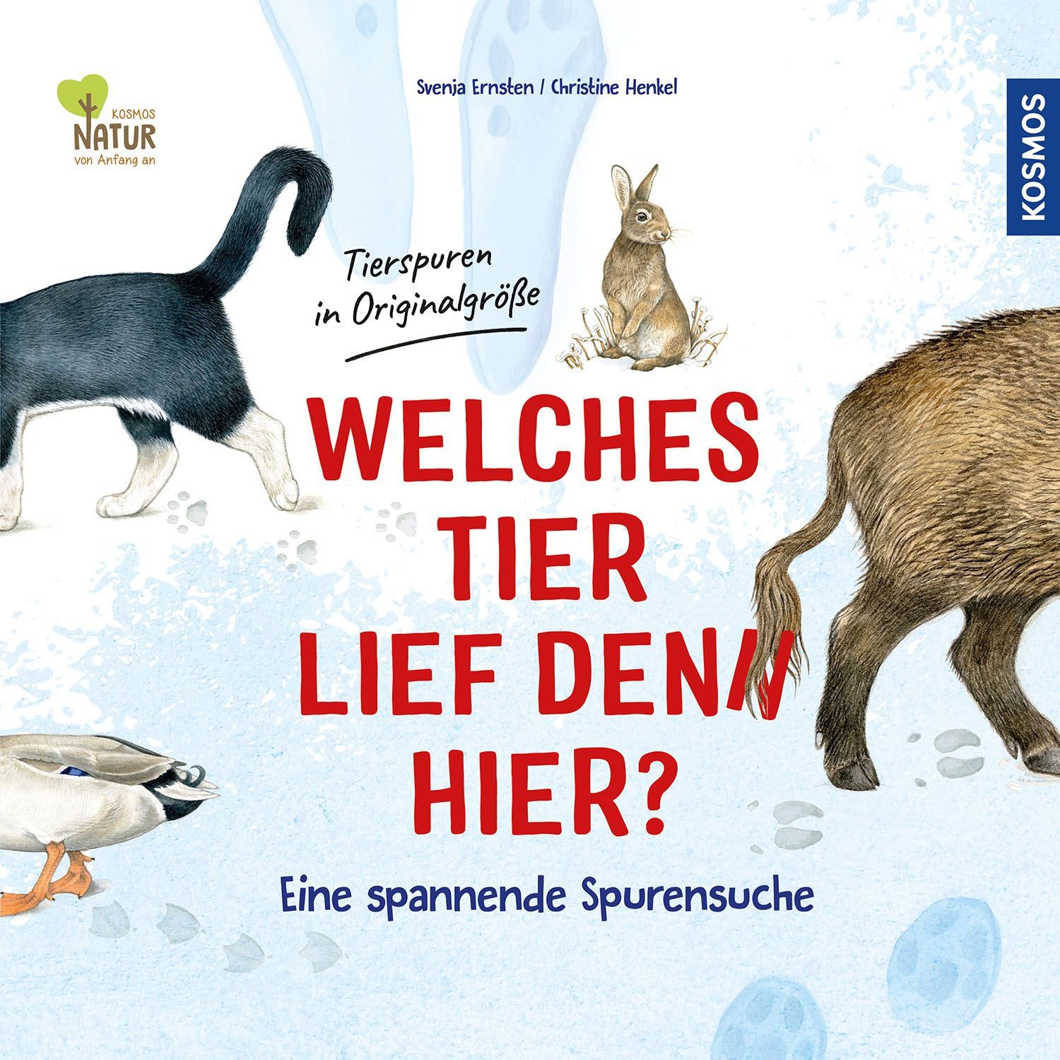 Kinderbuch Welches Tier lief denn hier? Eine spannende Spurensuche Svenja Ernsten