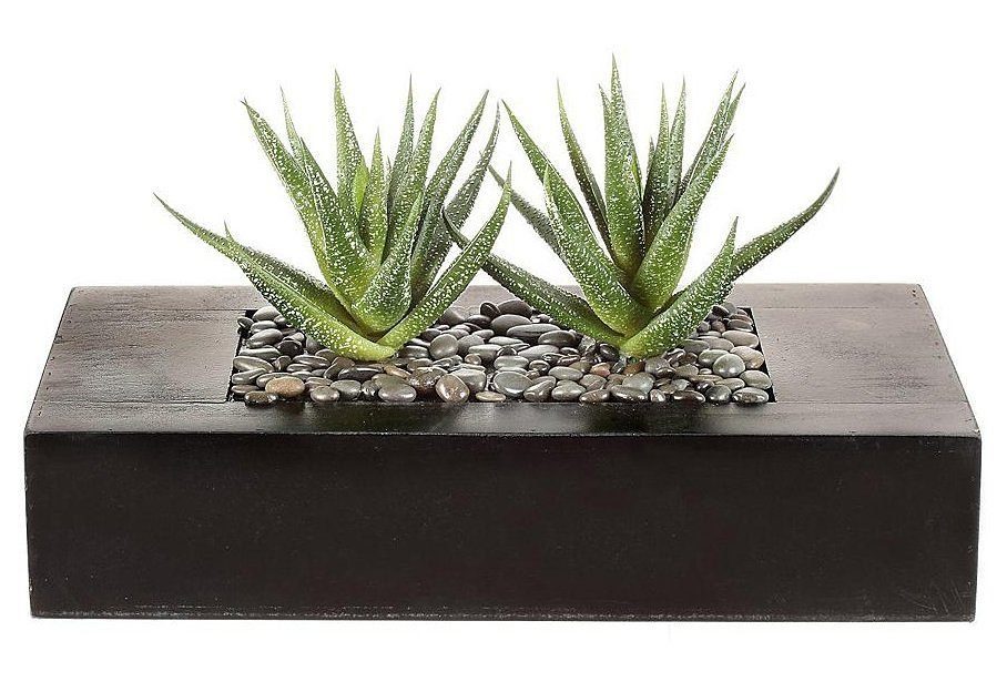 Kunstkaktus Agaven, OTTO home, Höhe 16 cm, Kunstpflanzen-Arrangement in zwei Größen in schöner Holzschale