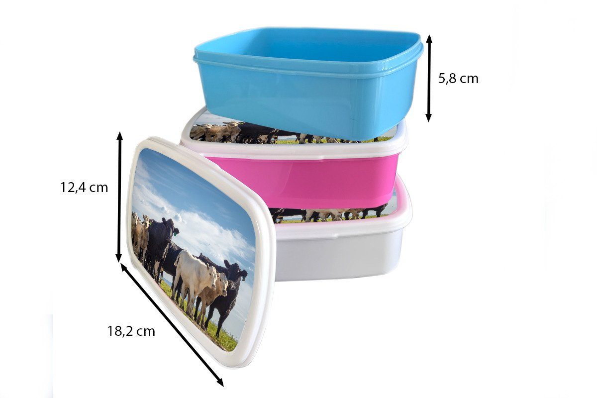 MuchoWow Lunchbox Tiere - Kuh Brotdose, für für Brotbox und Kinder (2-tlg), Jungs - Kunststoff, weiß Luft, Mädchen Erwachsene, und