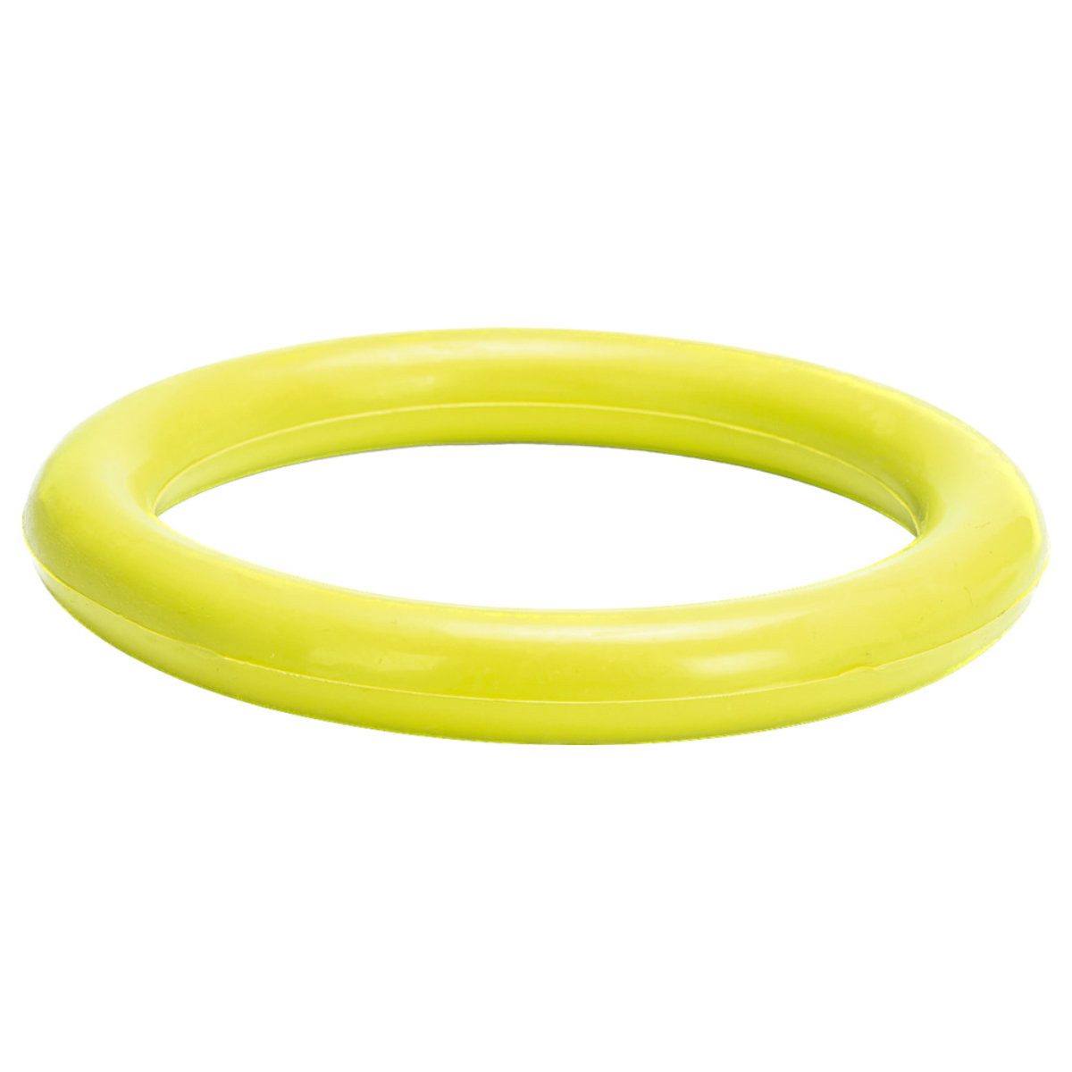 Outdoor-Spielzeug Hundespielzeug Ring grün