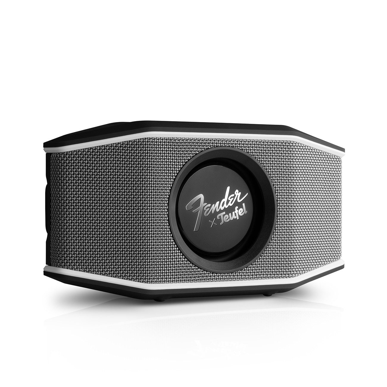 Teufel Fender x Teufel ROCKSTER GO 2 Wireless Lautsprecher (Bluetooth, 8 W, IP67-zertifiziert)