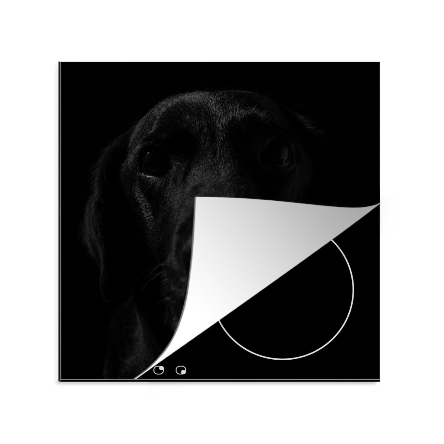 MuchoWow Herdblende-/Abdeckplatte Hund - Schwarz für Arbeitsplatte küche Labrador, Vinyl, tlg), cm, 78x78 - Ceranfeldabdeckung, (1