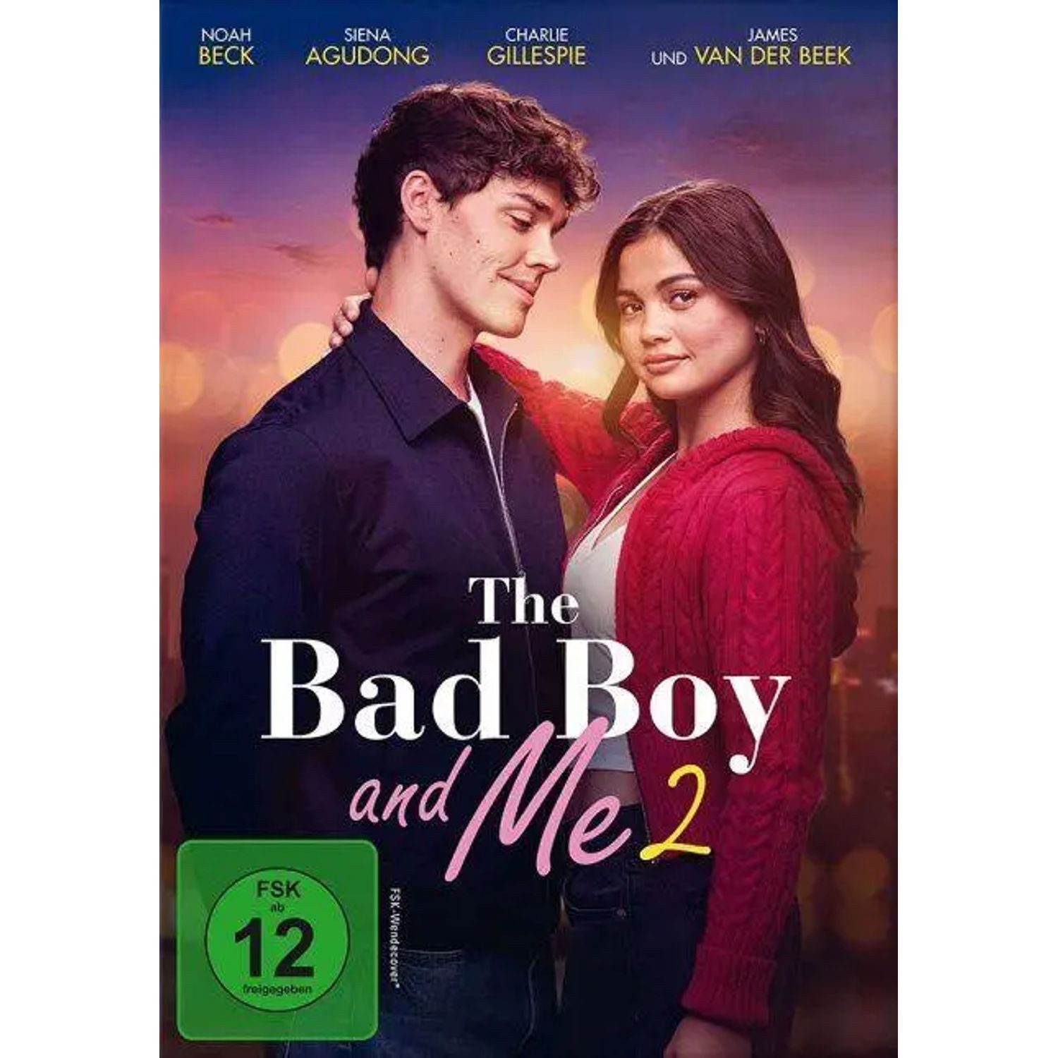 DVD The Bad Boy and Me 2