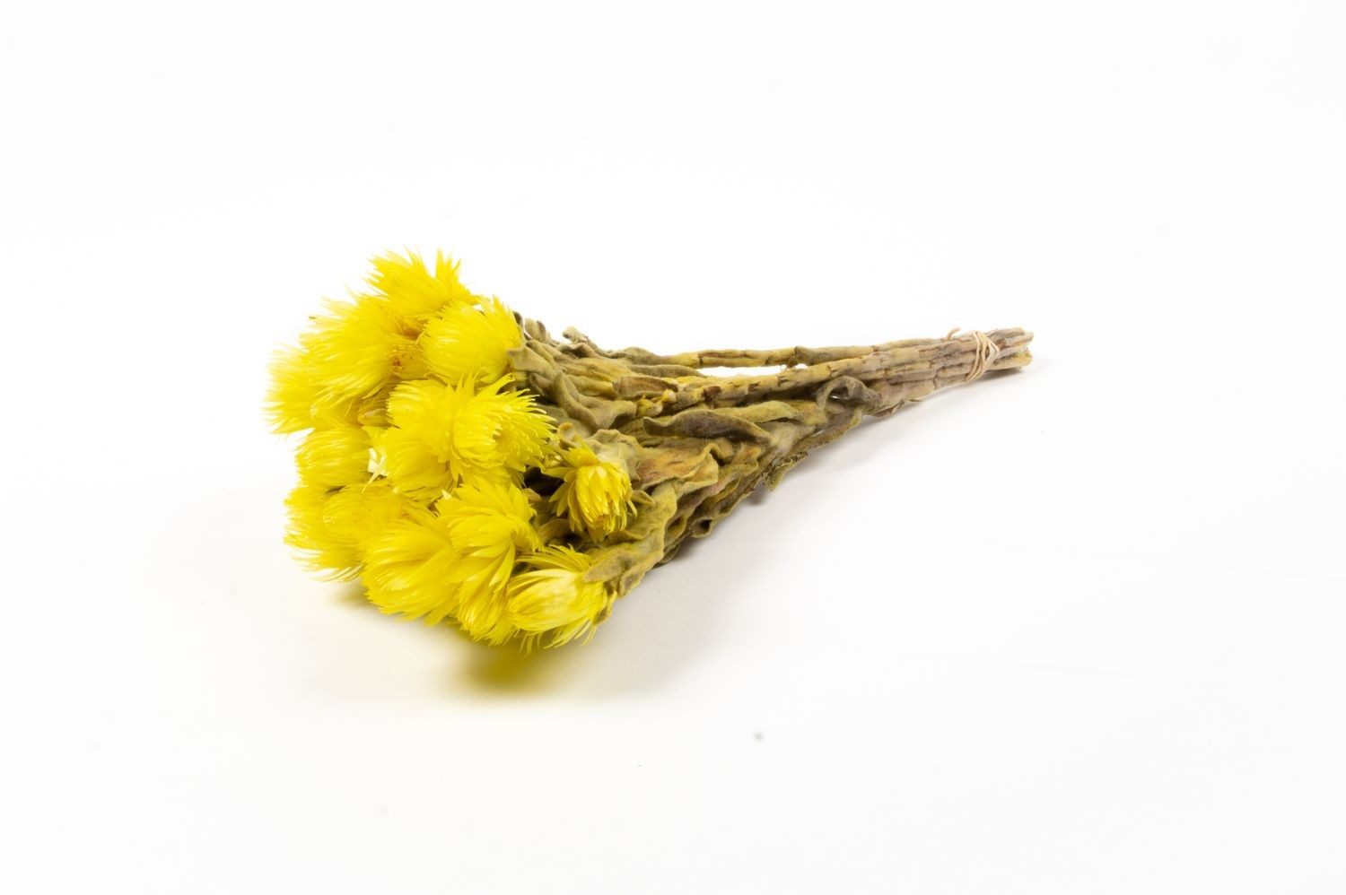 Trockenblume Sonnenblumen Trockenstrauß Bibiana, gelb, 30-40cm, Ø15cm, INNA-Glas, Höhe 40.0 cm