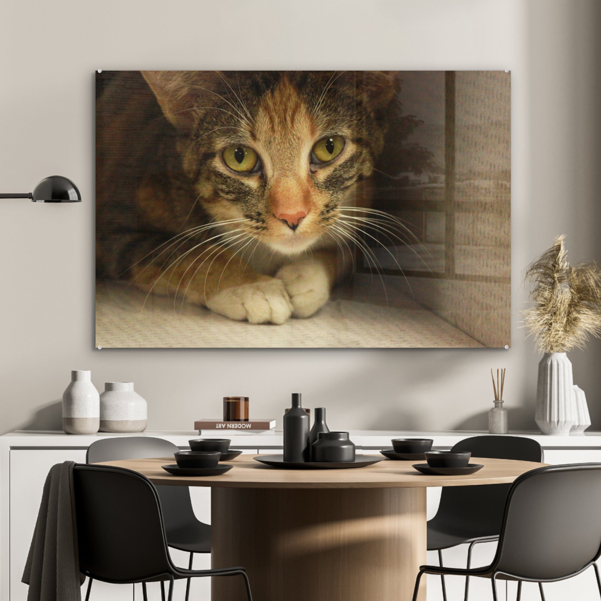 Karton, & Tigerkatze (1 junge MuchoWow Schlafzimmer Acrylglasbilder St), Acrylglasbild sitzt Eine einem in Wohnzimmer