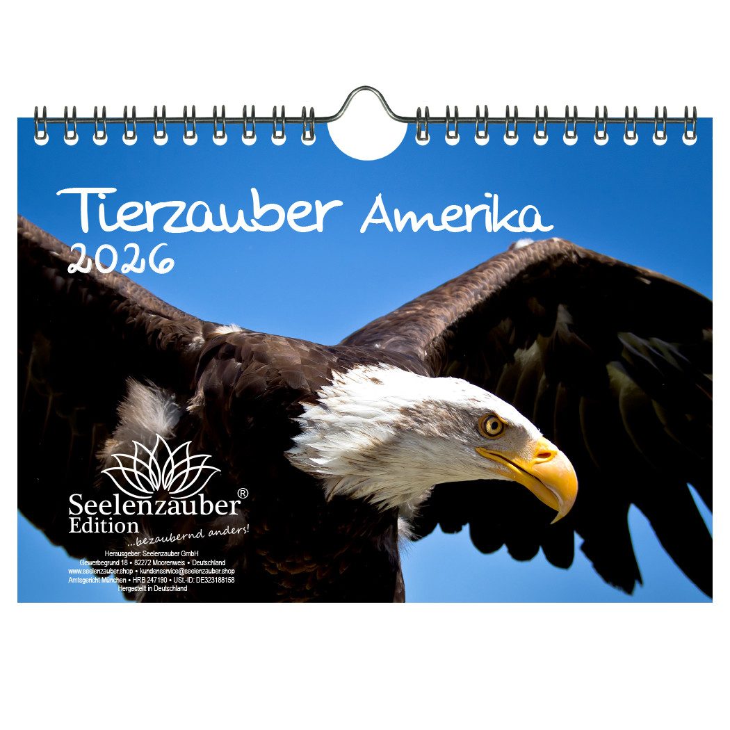 Seelenzauber Wandkalender Tierzauber Amerika DIN A5 Kalender für 2026 Tiere Wald Natur Baum