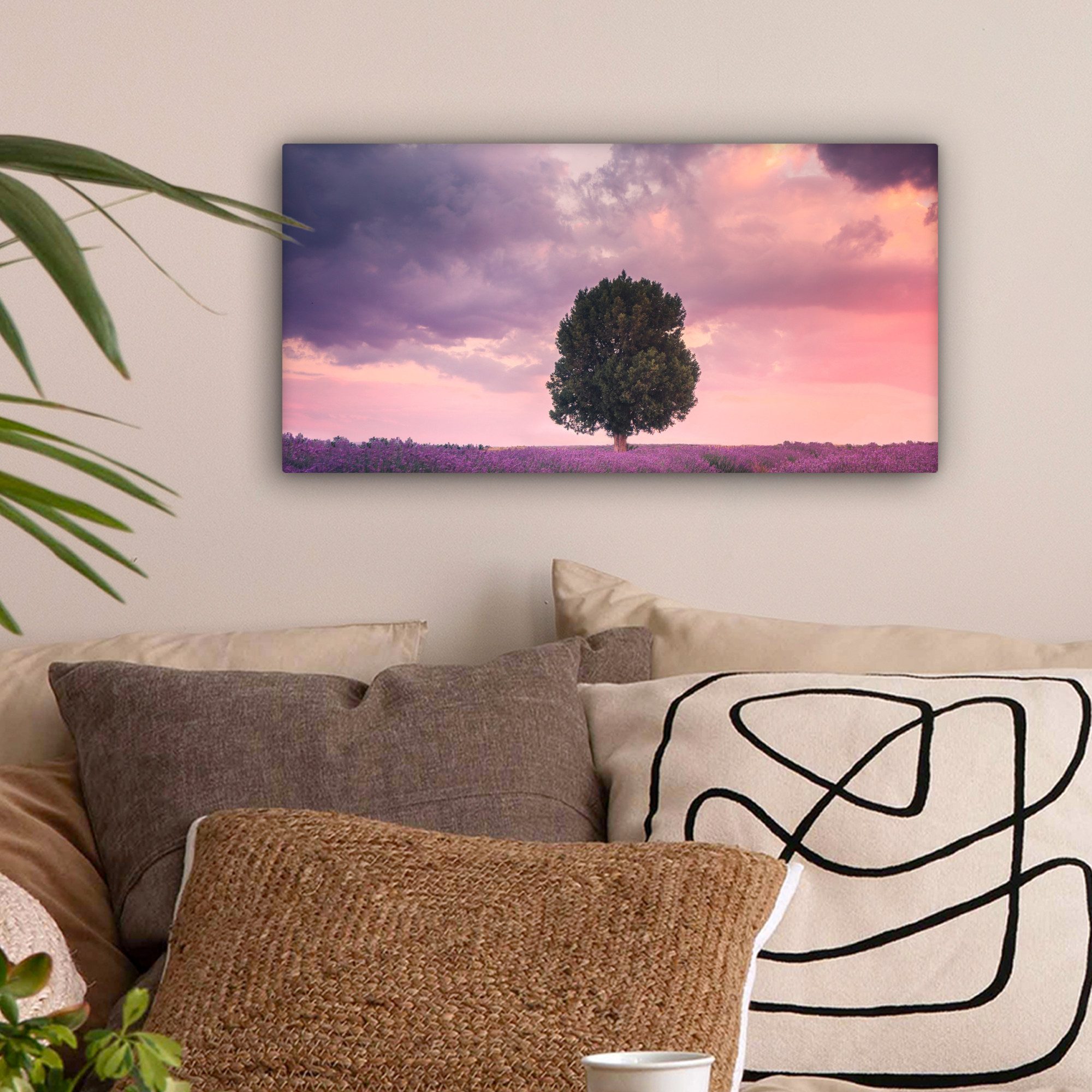 OneMillionCanvasses® Leinwandbild Panorama Lavendel - Blumen günstig online kaufen