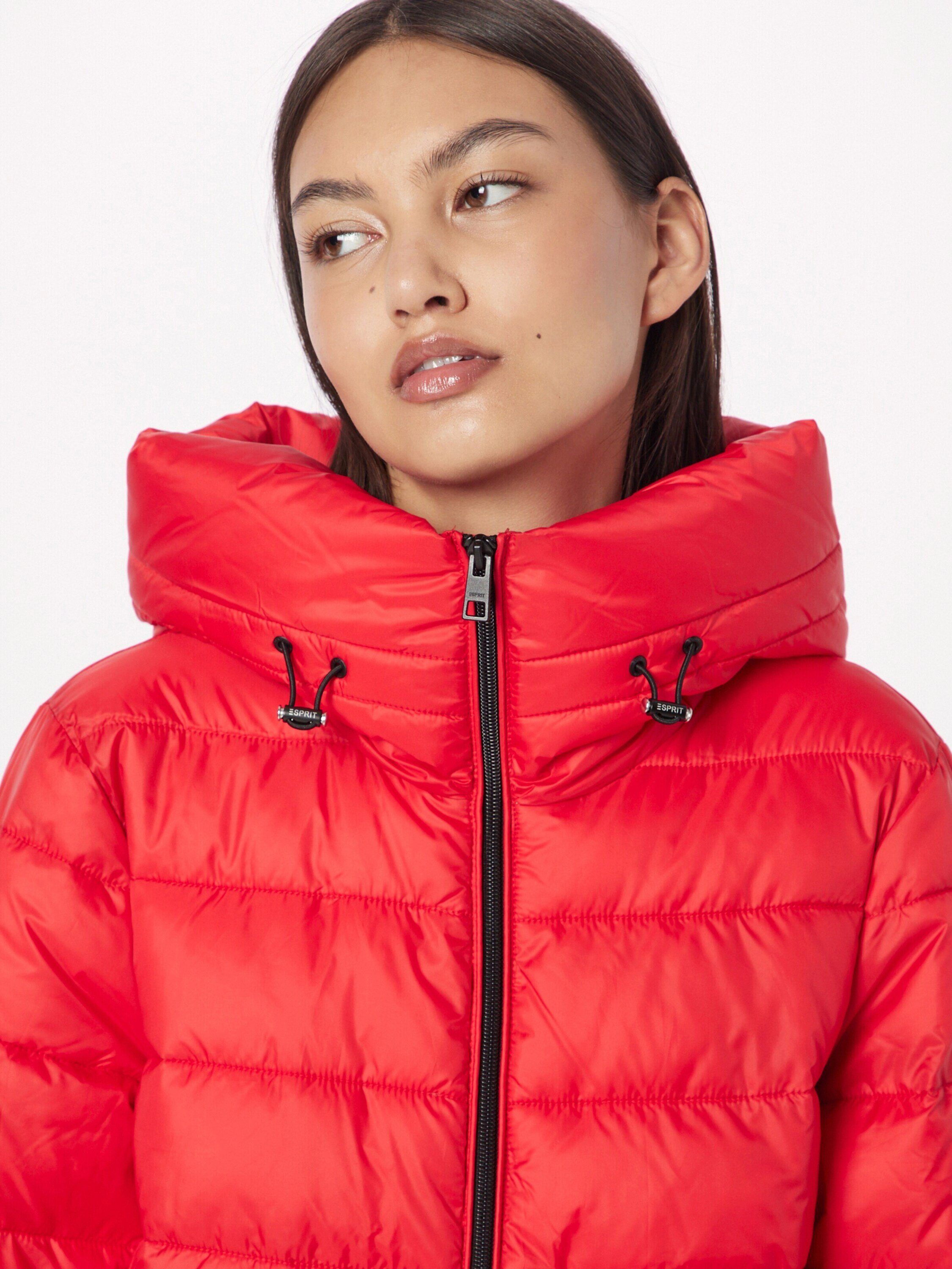 Esprit Wintermantel (1-tlg)