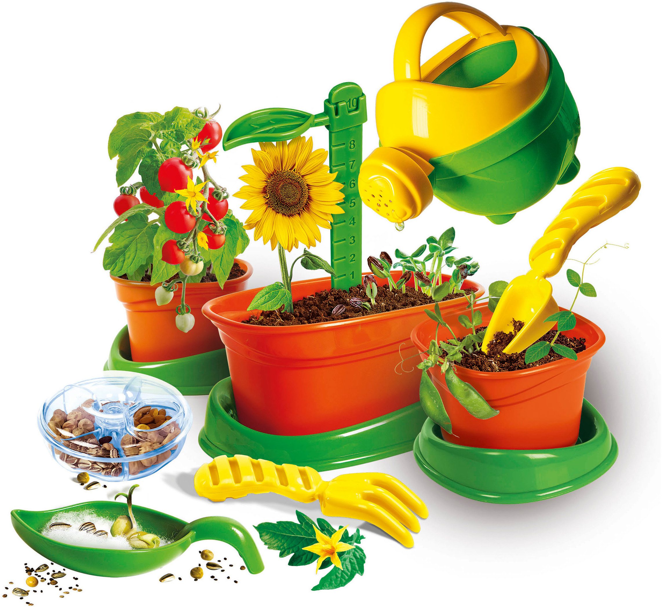 Clementoni® Experimentierkasten Galileo Lab, Mein erstes Botanik-Set (5), Made in Europe