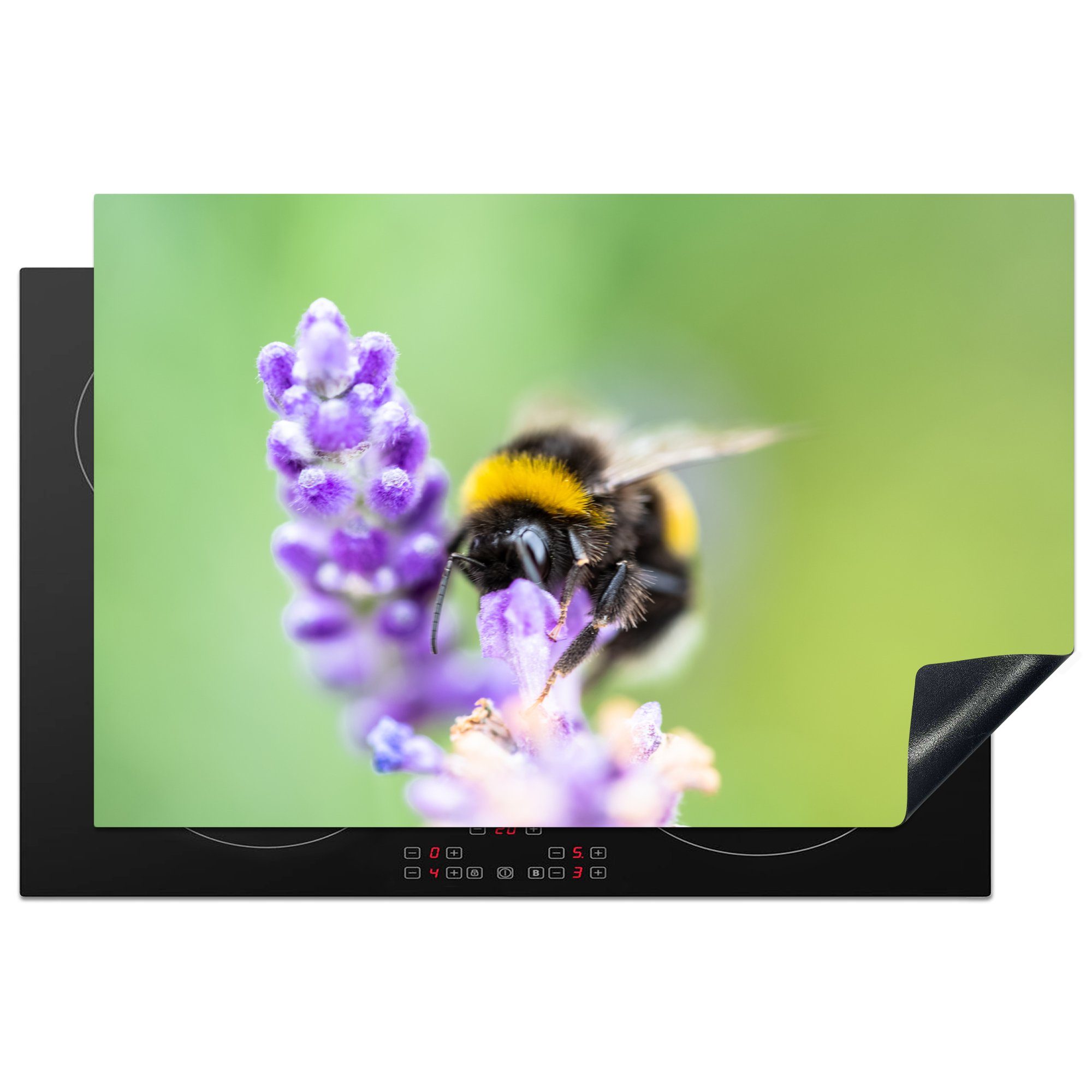 MuchoWow Herdblende-/Abdeckplatte Hummel auf Lavendel, Vinyl, (1 tlg), 81x52 cm, Induktionskochfeld Schutz für die küche, Ceranfeldabdeckung