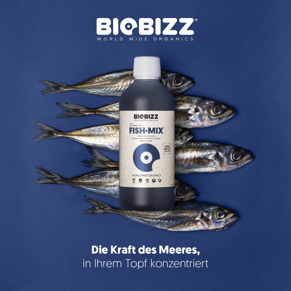 Biobizz Pflanzendünger BioBizz Grow Dünger Fish-Mix 250 ml – Bild 2 von 5