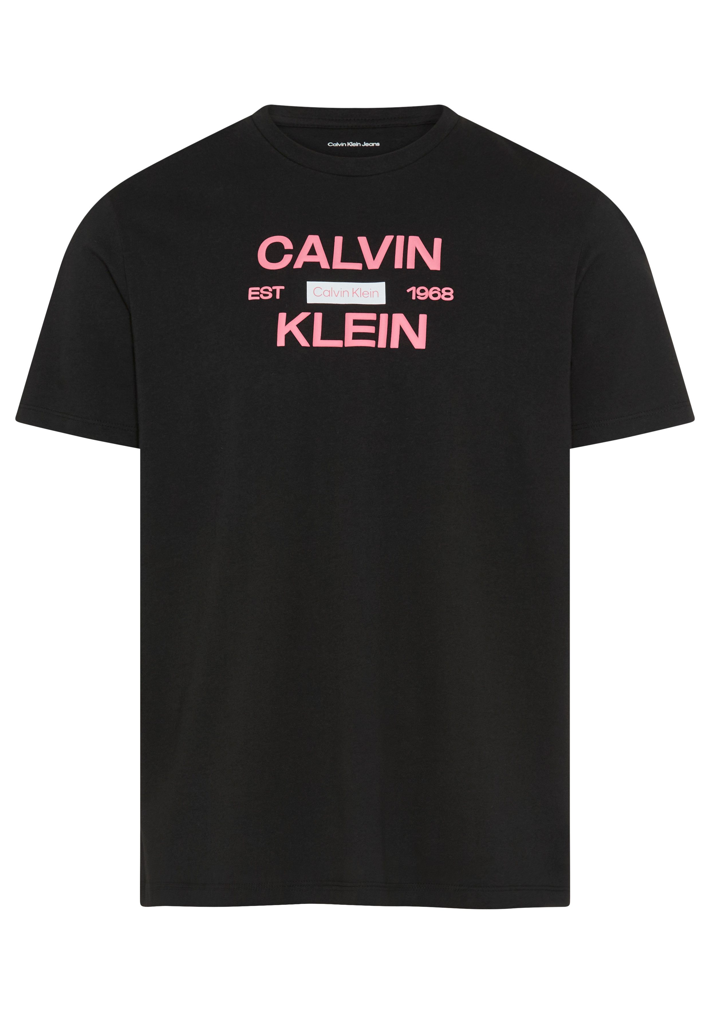 Calvin Klein Jeans T-Shirt CALVINKLEIN STACK GRAP Regular fit mit Print