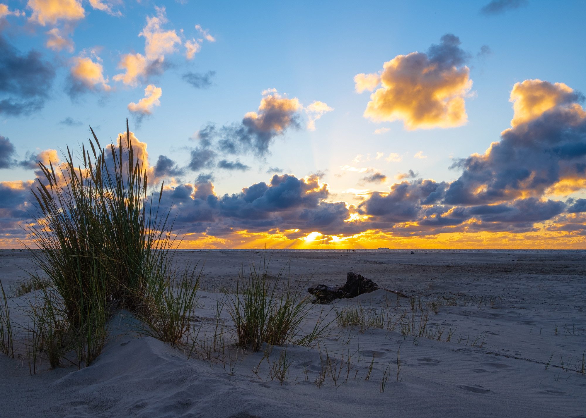 Rasch Fototapete Strand mit Sonnenuntergang - 2,65m x 3,71m, strukturiert, Strand, Meer, Natur, Landschaft, (1 St), Dünen