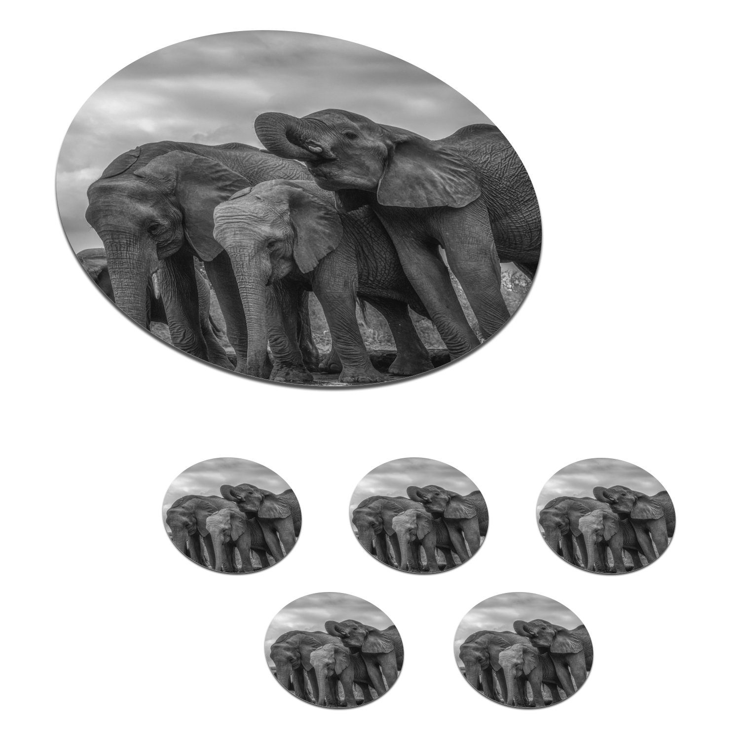 MuchoWow Glasuntersetzer Elefant weiß, für Becher Zubehör 6-tlg., Schwarz Tassenuntersetzer, - - Wasser Tiere - Tasse, Getränkeuntersetzer, Gläser, und Korkuntersetzer