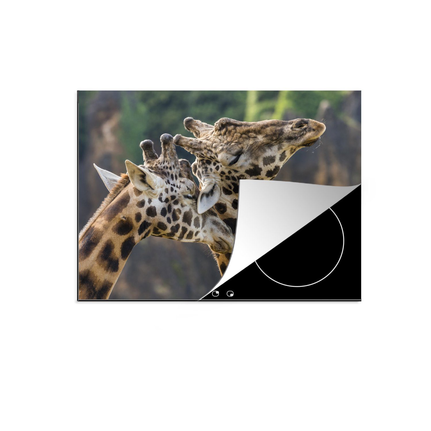 MuchoWow Herdblende-/Abdeckplatte Nahaufnahme von zwei Giraffen, Vinyl, (1 tlg), 70x52 cm, Mobile Arbeitsfläche nutzbar, Ceranfeldabdeckung | Herdabdeckplatten