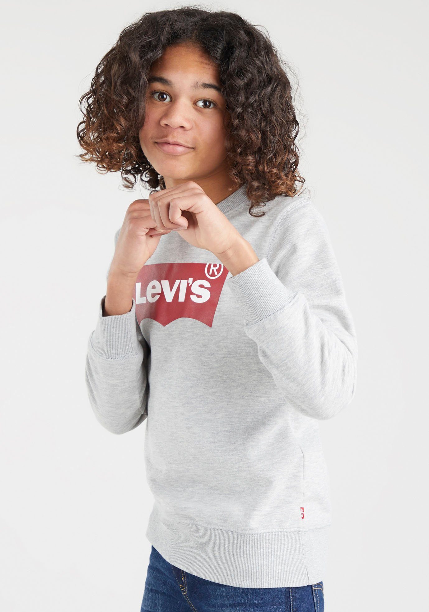 Levi's® Kids Sweatshirt BATWING CREWNECK for BOYS hellgrau | Sweatshirts