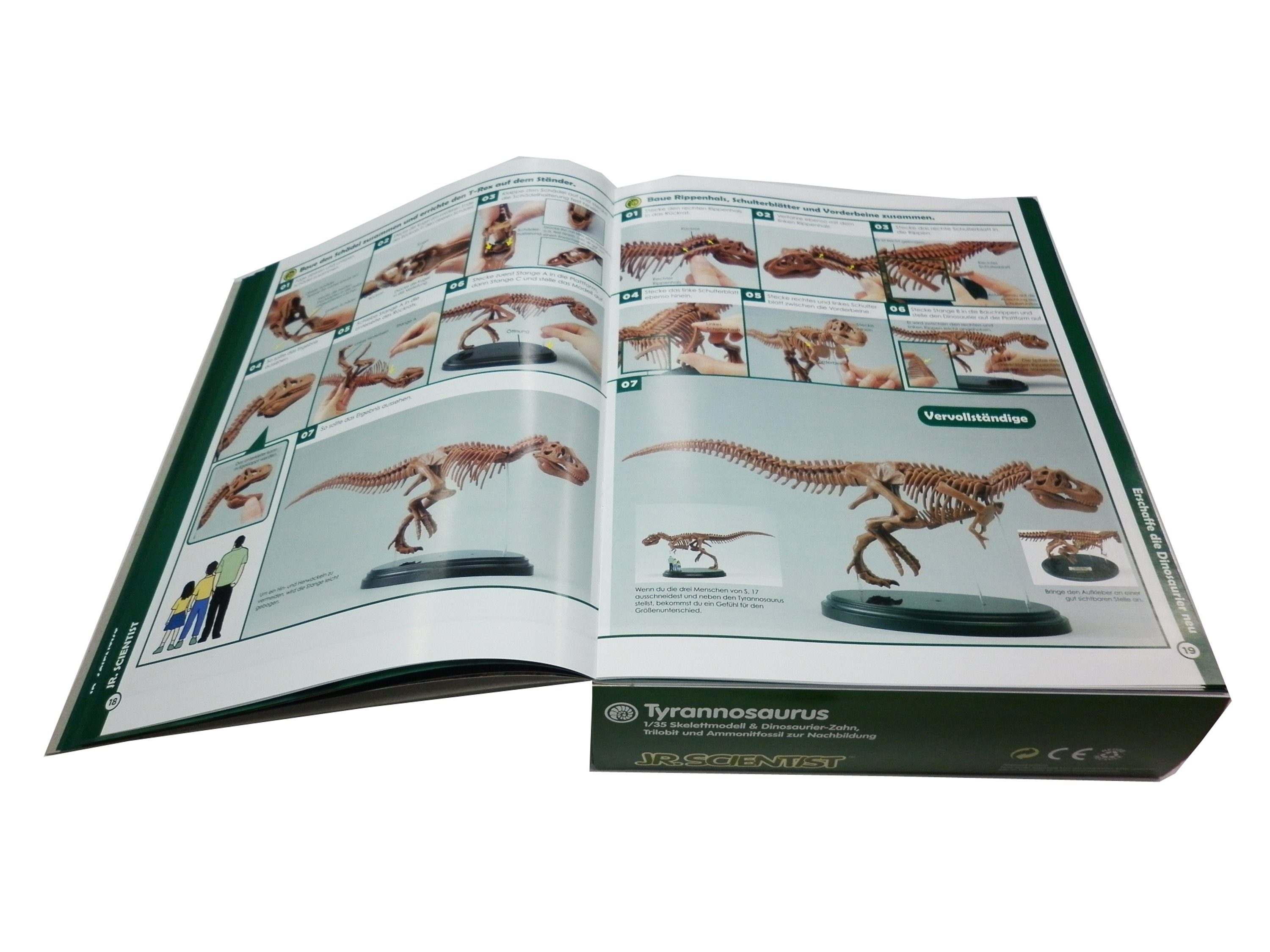 Fossilienset Experimentierkasten GK008 (1-tlg) T-Rex Rex, Edu-Toys Tyrannosaurus