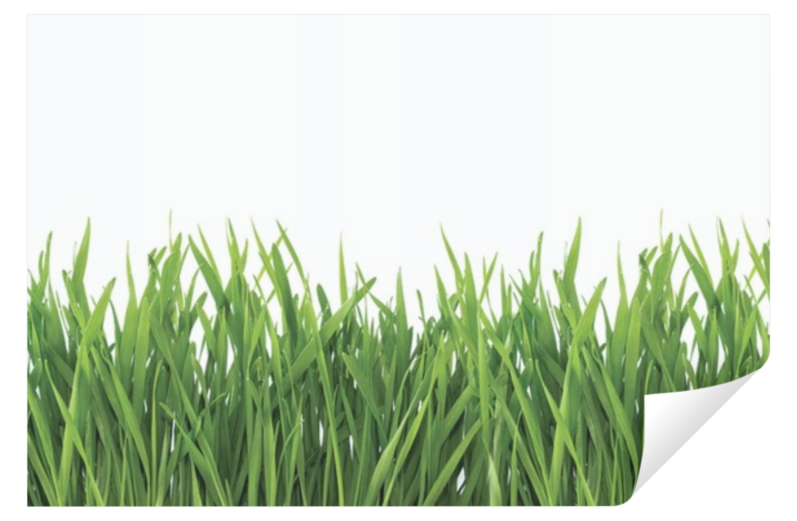 Wallarena Fototapete Küche Abwaschbar 250x60 Einteilig günstig online kaufen