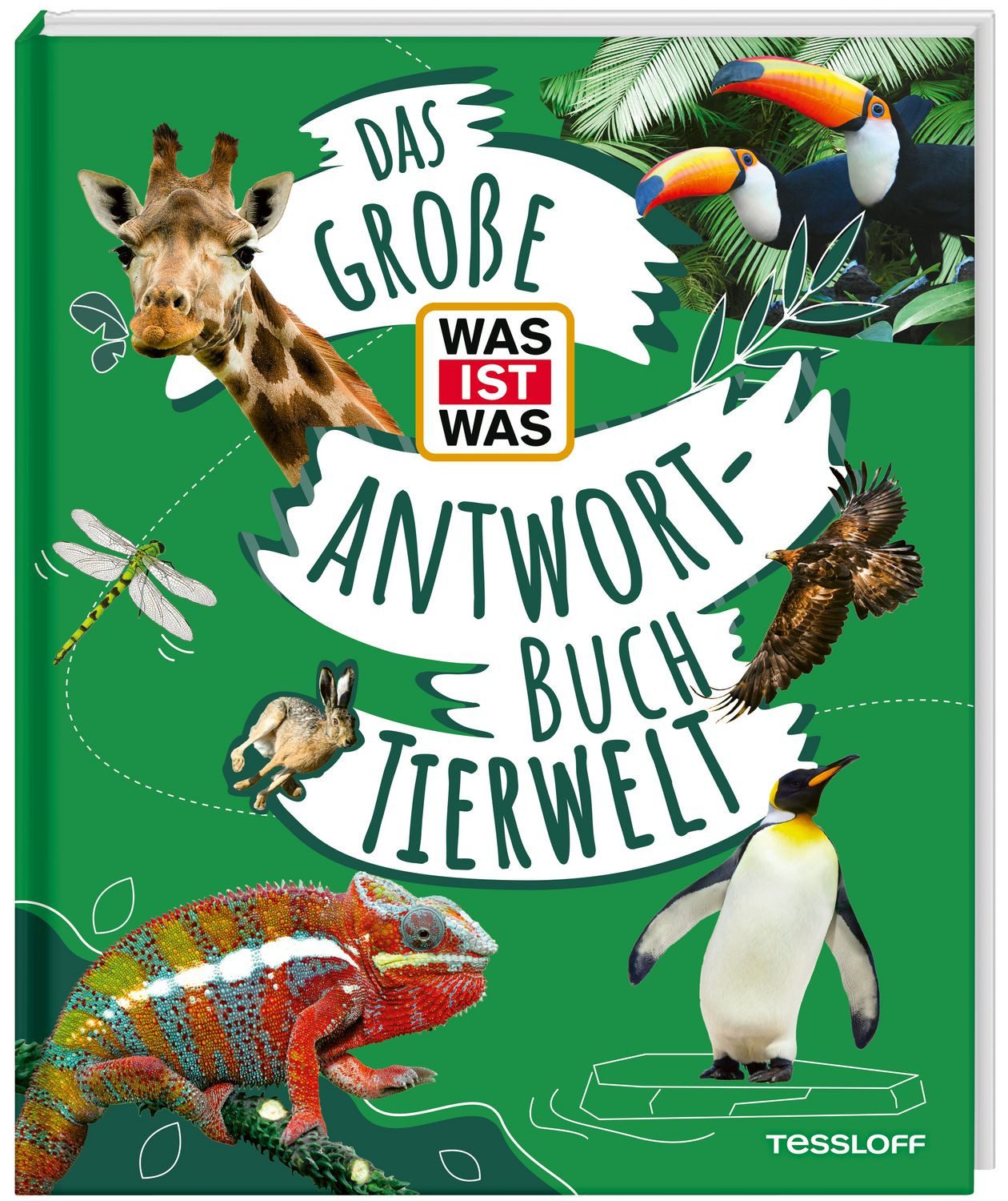 Das große WAS IST WAS Antwortbuch Tierwelt / Barbara Lich