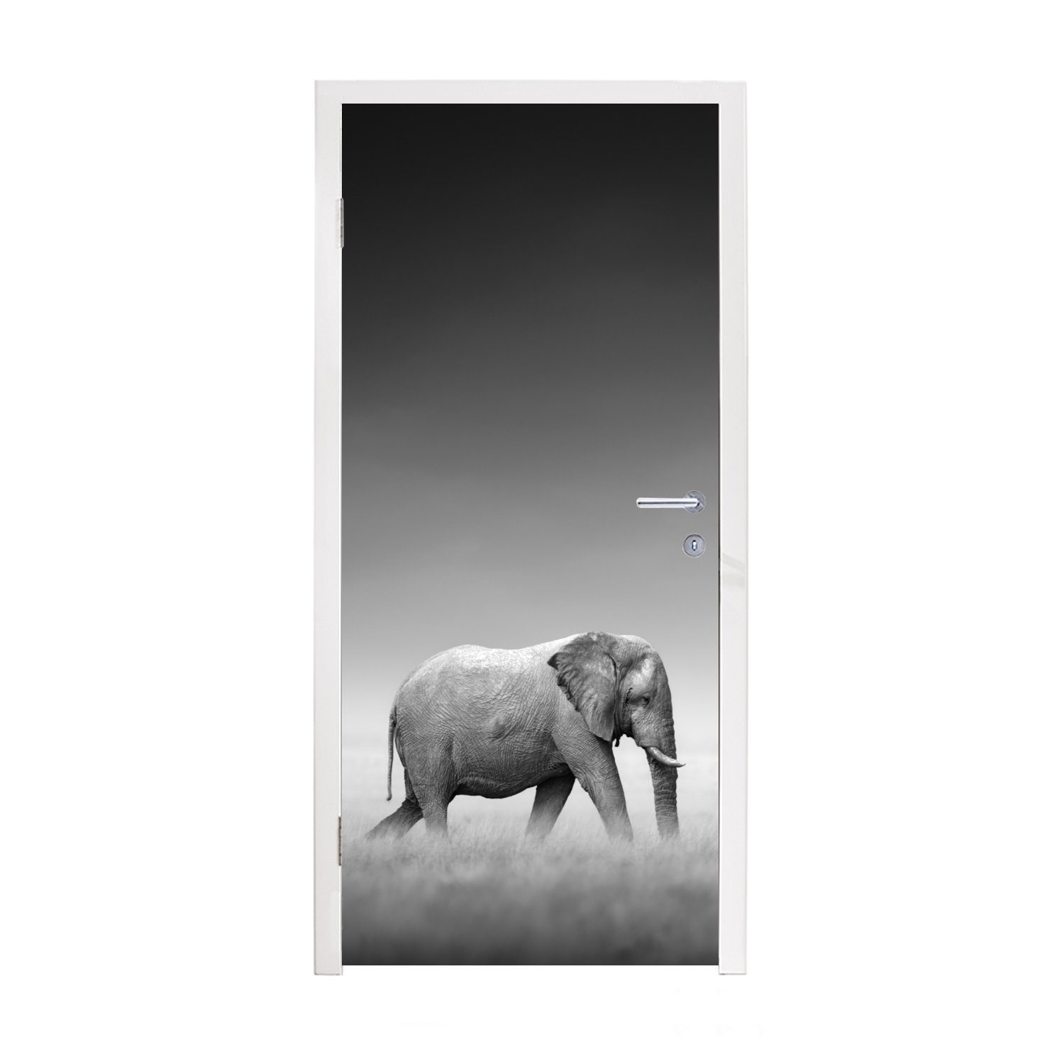 MuchoWow Türtapete Elefant - Tiere - Landschaft - Schwarz und weiß - Zebra, Matt, bedruckt, (1 St), Fototapete für Tür, Türaufkleber, 75x205 cm