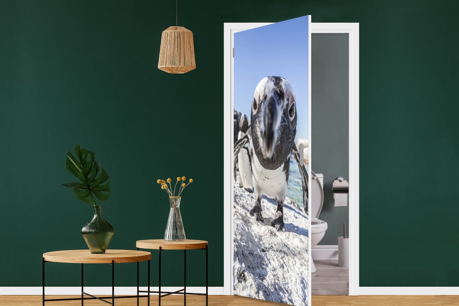 Tür, MuchoWow (1 Pinguins eines Boulders am cm 75x205 für Beach, St), Türtapete Fototapete bedruckt, Nahaufnahme Matt, Türaufkleber,