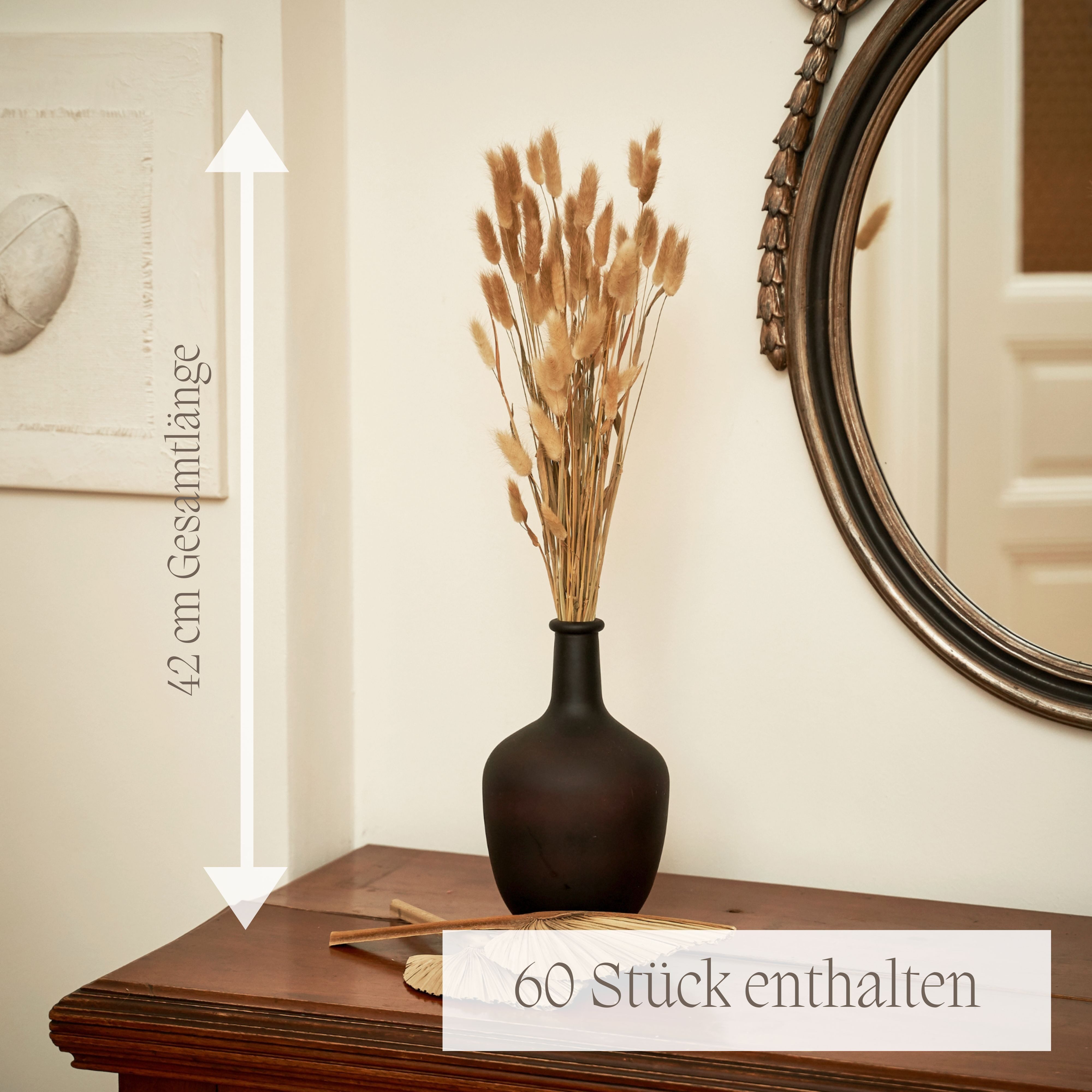 Trockenblume Getrocknetes Hasenschwanzgras, Trockenblumen, Lagurus Pampasgr günstig online kaufen