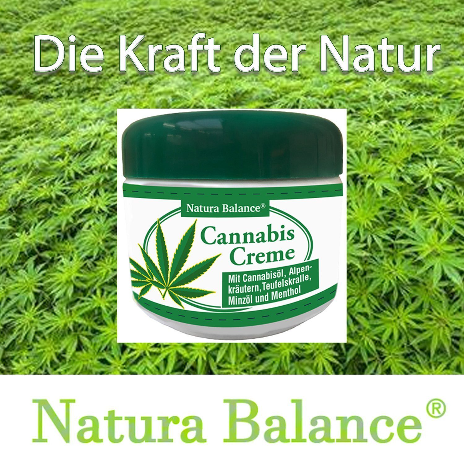 Natura Balance Körpercreme 3 Dosen a 125ml Cannabis Körper Creme Alpenkräuter Salbe
