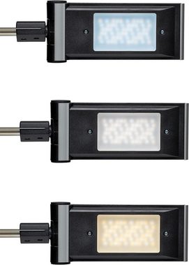 MAUL LED Schreibtischlampe LED-Tischleuchte MAULprimus, colour vario, dimmbar, LED7, Höhenverstellbar, Homogene Lichtverteilung