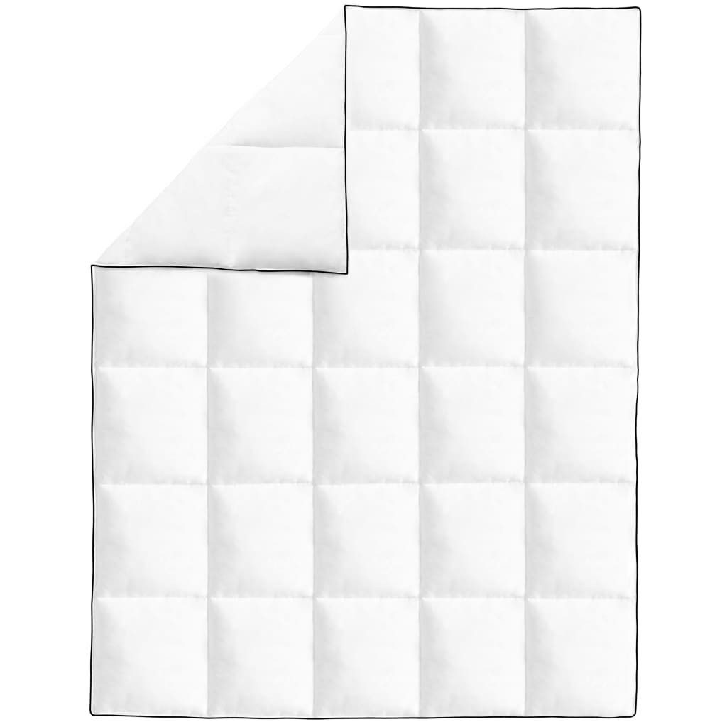 vidaXL Daunenbettdecke, Winter-Daunendecke 2 Stk. 150x200 cm
