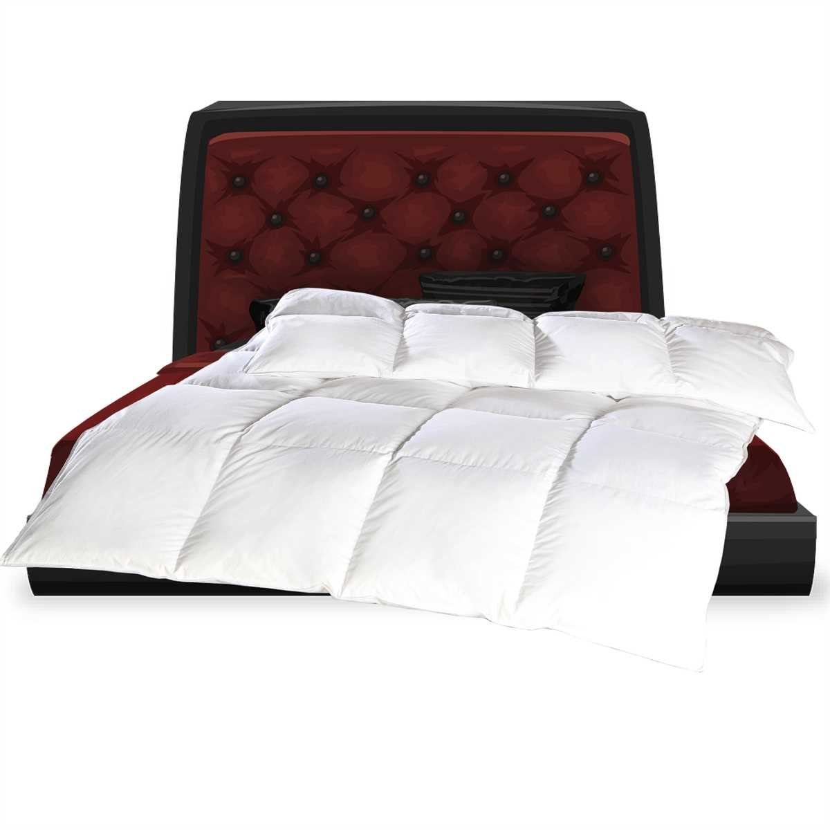 Bestgoodies Bettdecke + Kopfkissen, Füllung: 10% Daunen / 90% Federn, Bezug günstig online kaufen