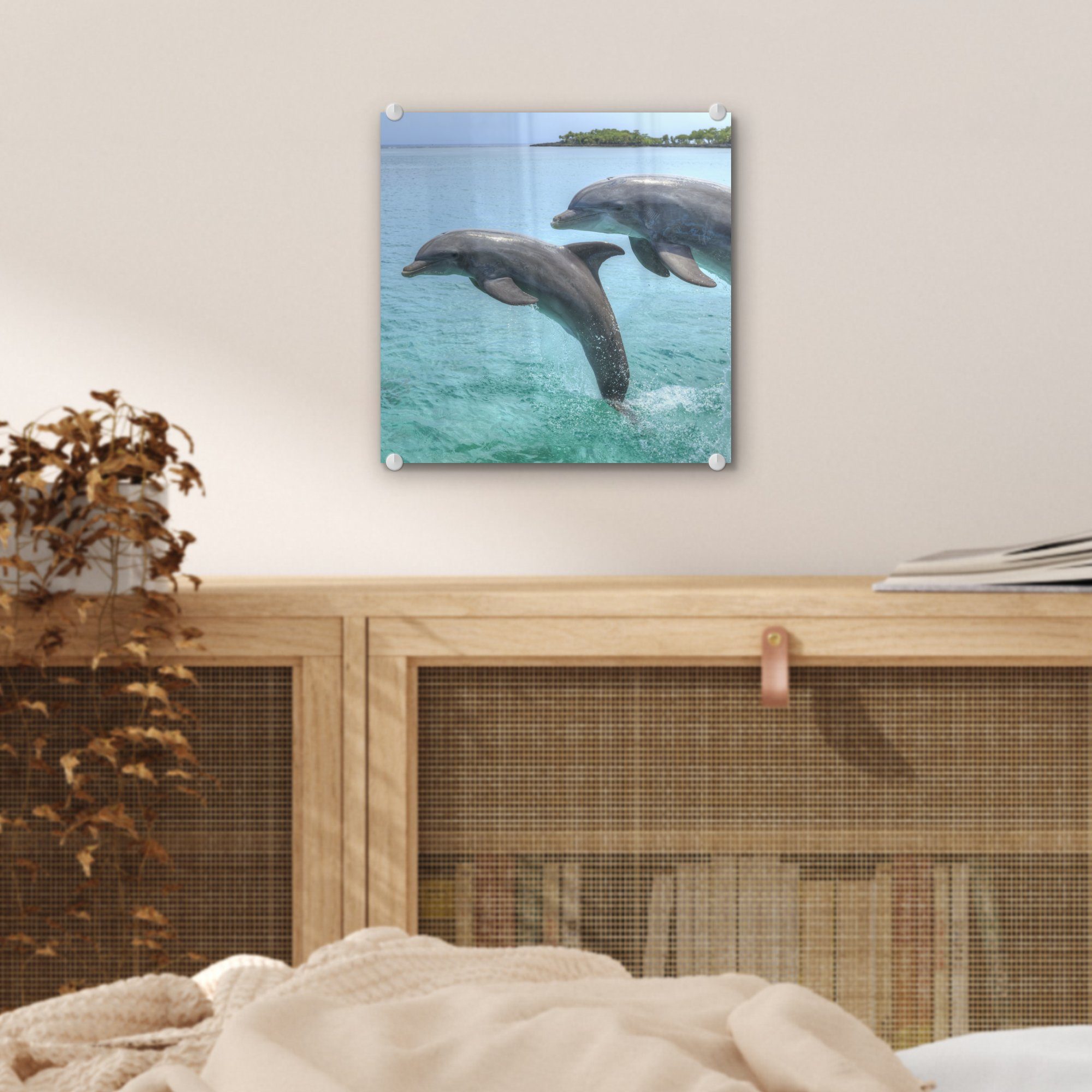 - Delfine (1 auf Foto - auf Bay Glas vor MuchoWow den St), Wanddekoration Glas Wandbild - Glasbilder Islands, Acrylglasbild Bilder