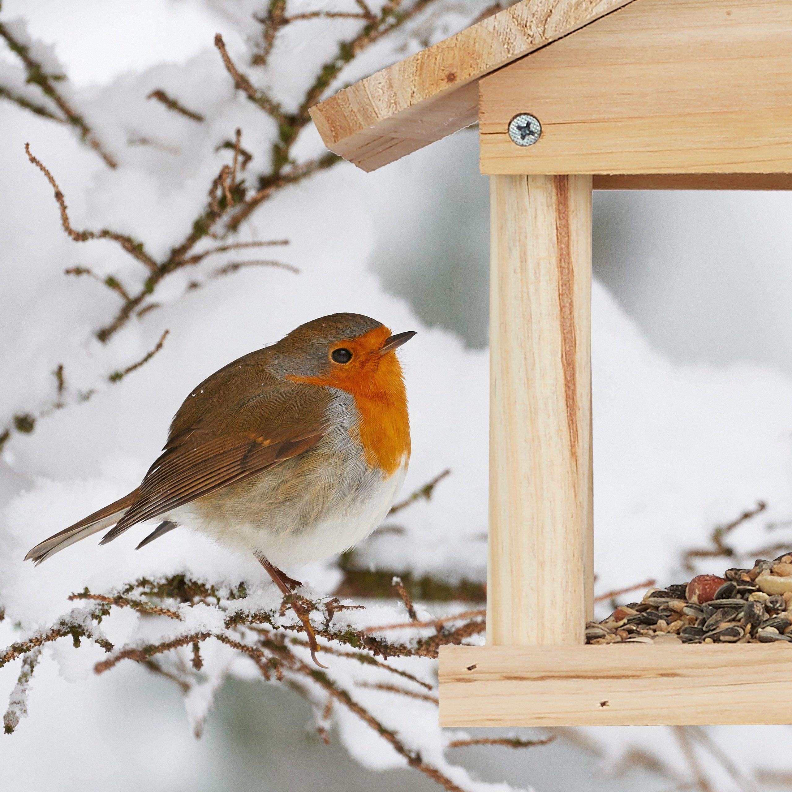relaxdays Vogelhaus zum Aufhänge
