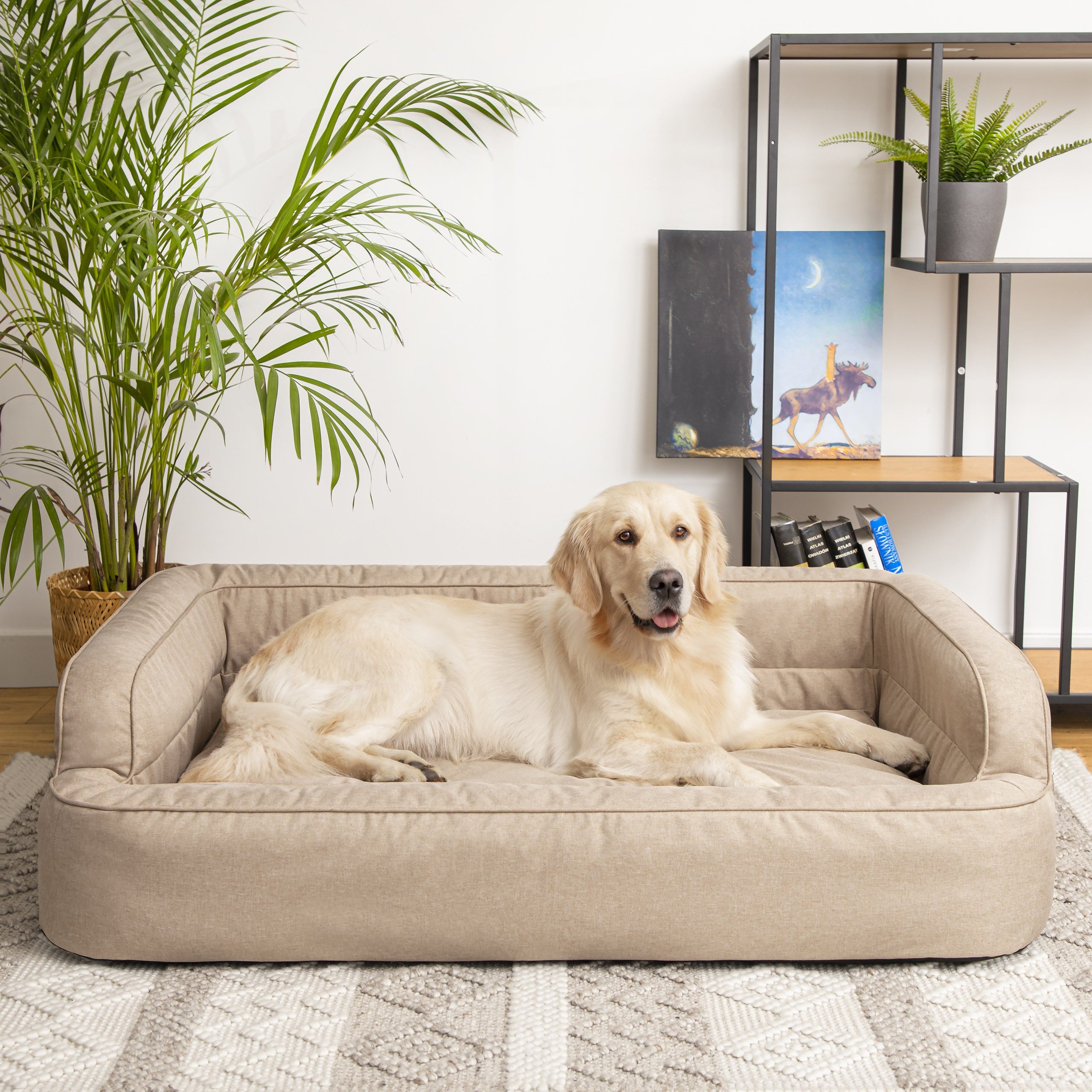 Hobbydog Tierbett Hundebett Schlafplatz Hundekissen Hundesofa Tierbett Hundematratze