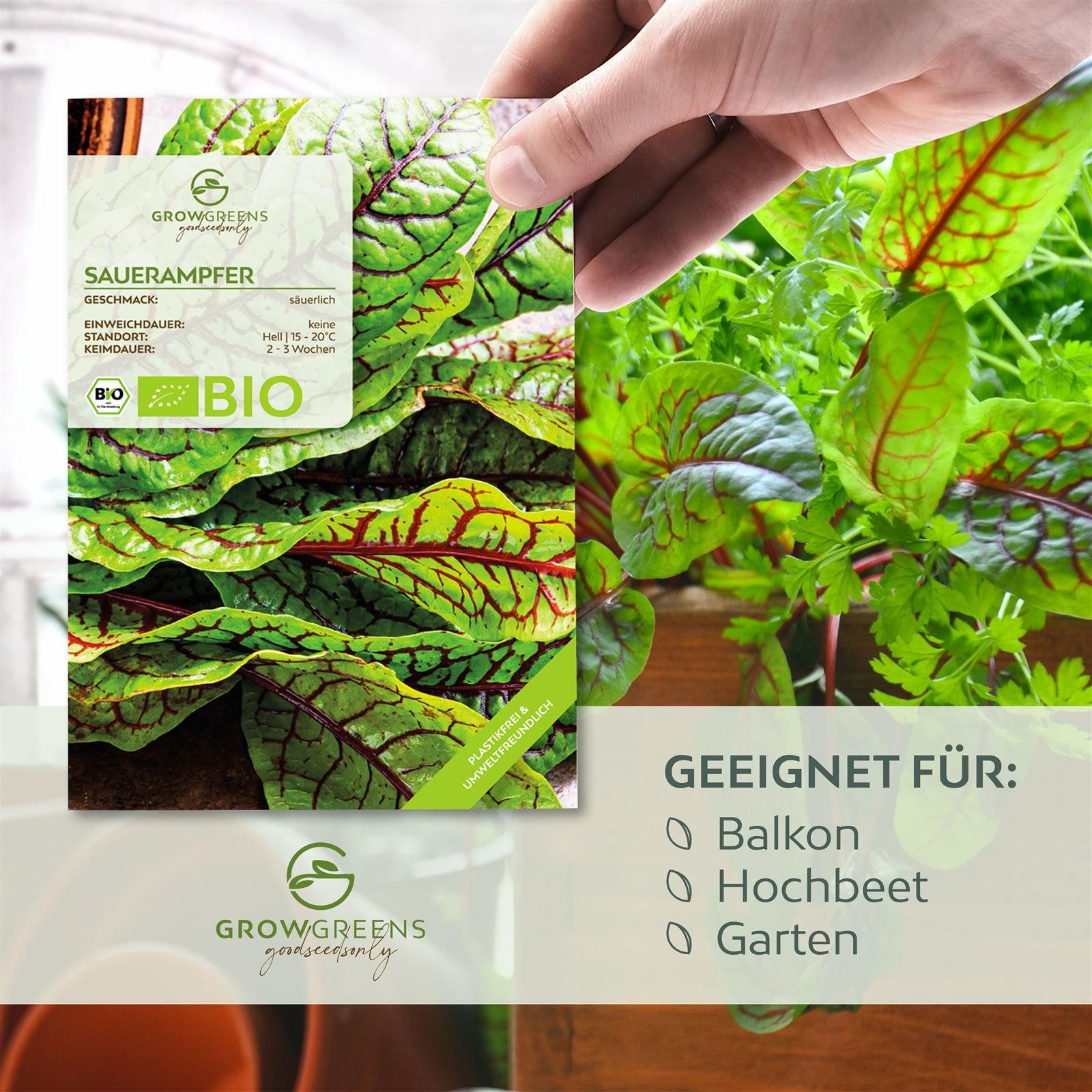 Growgreens Kräutersamen BIO Sauerampfer Samen - Heilkräuter Saatgut aus bio. Anbau (200 Korn) – Bild 4 von 5