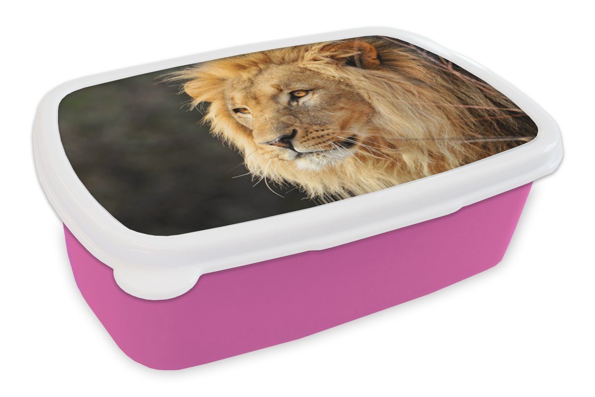 MuchoWow Lunchbox Leo - Profil - Jagen, Kunststoff, (2-tlg), Brotbox für Erwachsene, Brotdose Kinder, Snackbox, Mädchen, Kunststoff rosa