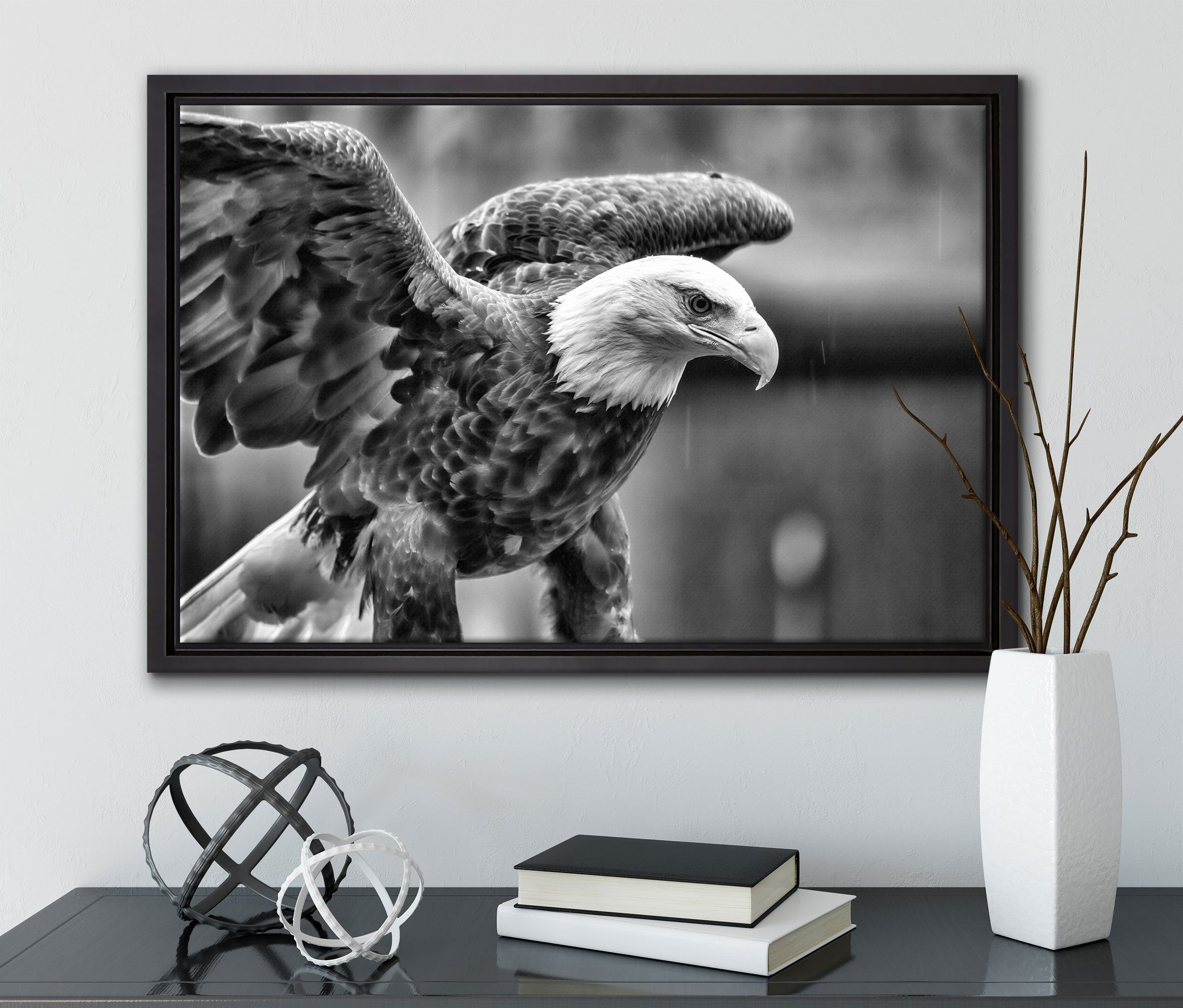 bespannt, Leinwandbild Pixxprint gefasst, Adler, inkl. einem Leinwandbild Zackenaufhänger fertig Schattenfugen-Bilderrahmen Wanddekoration St), in (1