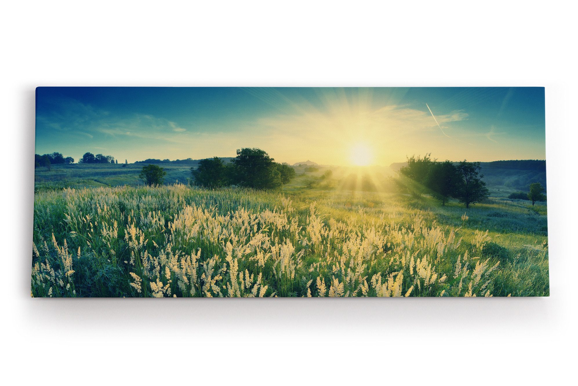 Leinwandbild Sonnenuntergang Wildblumen Wiese Natur Landschaft